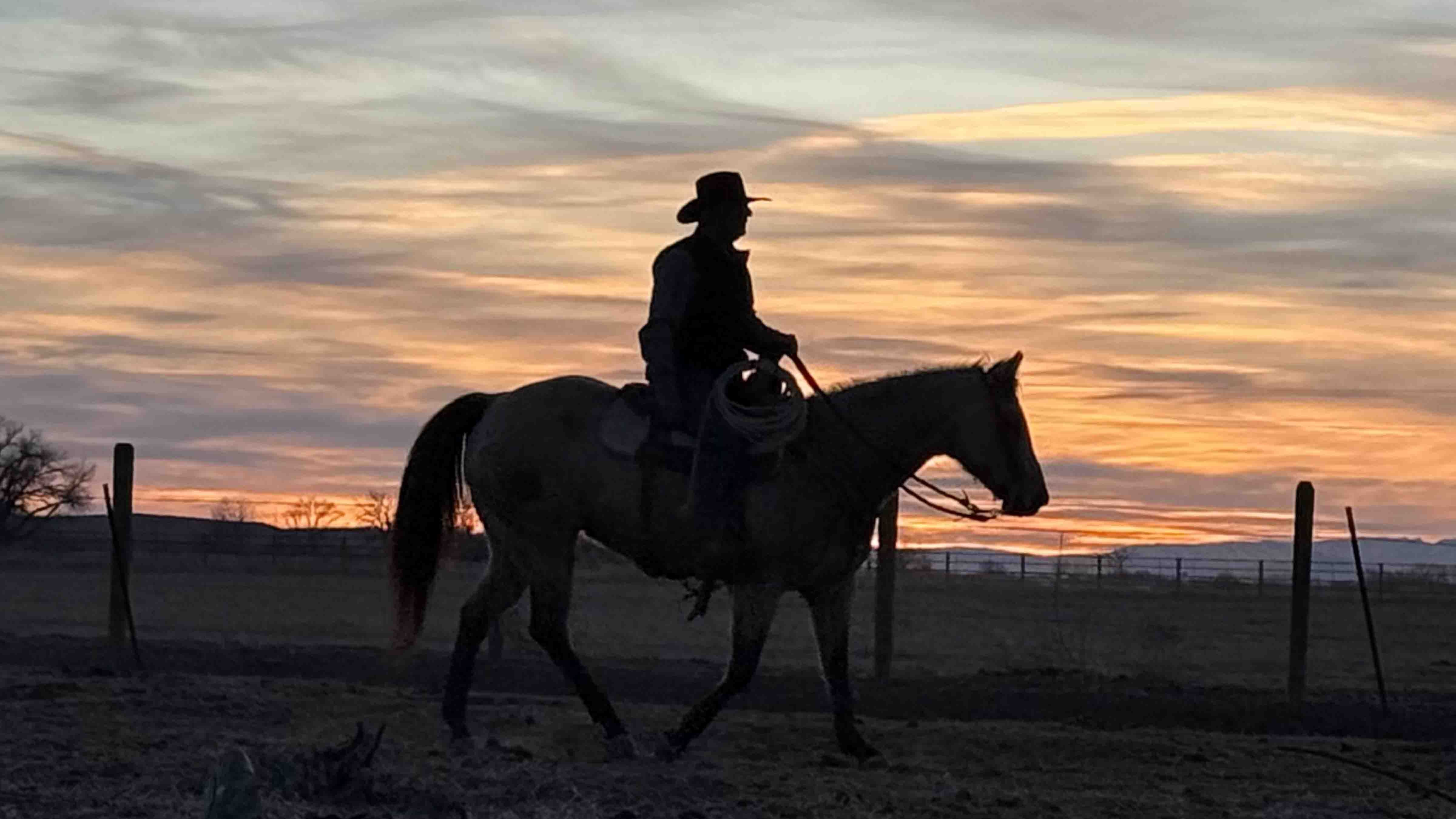 "My husband, Steve, was heading home after tagging some calves outside of Lovell, WY."