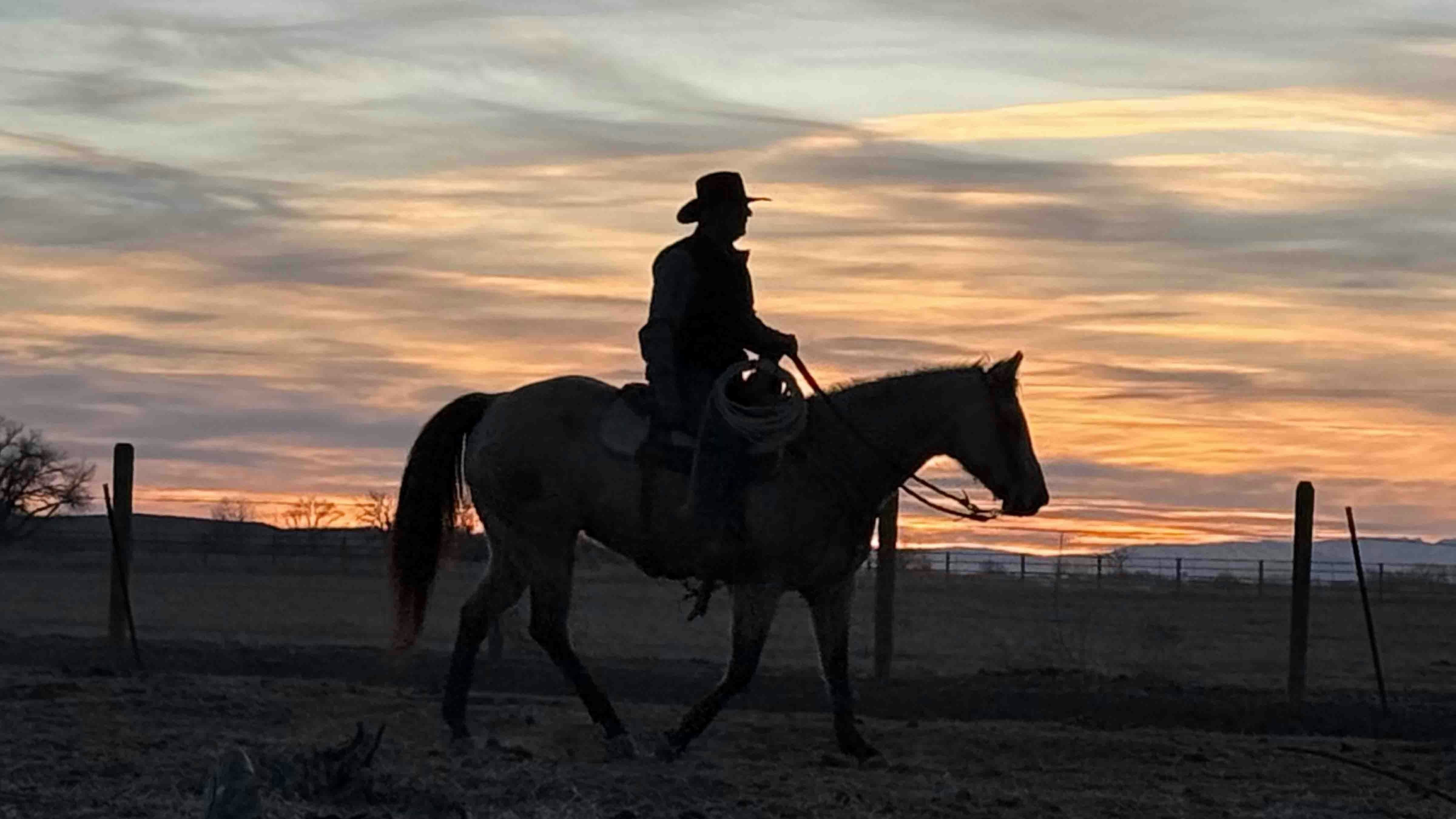 "My husband, Steve, was heading home after tagging some calves outside of Lovell, WY."