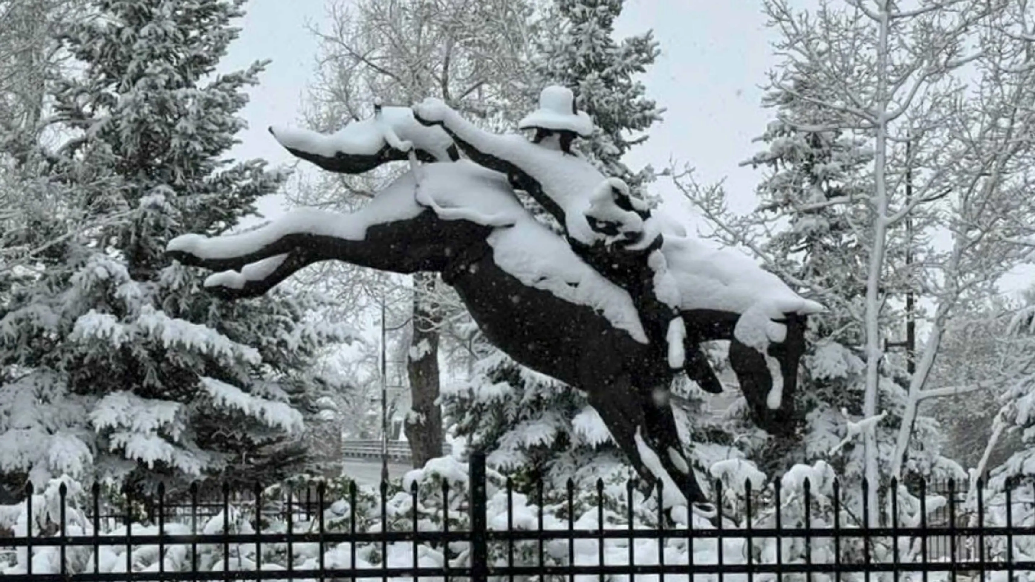 Snow day at Chris LeDoux Park in Kaycee