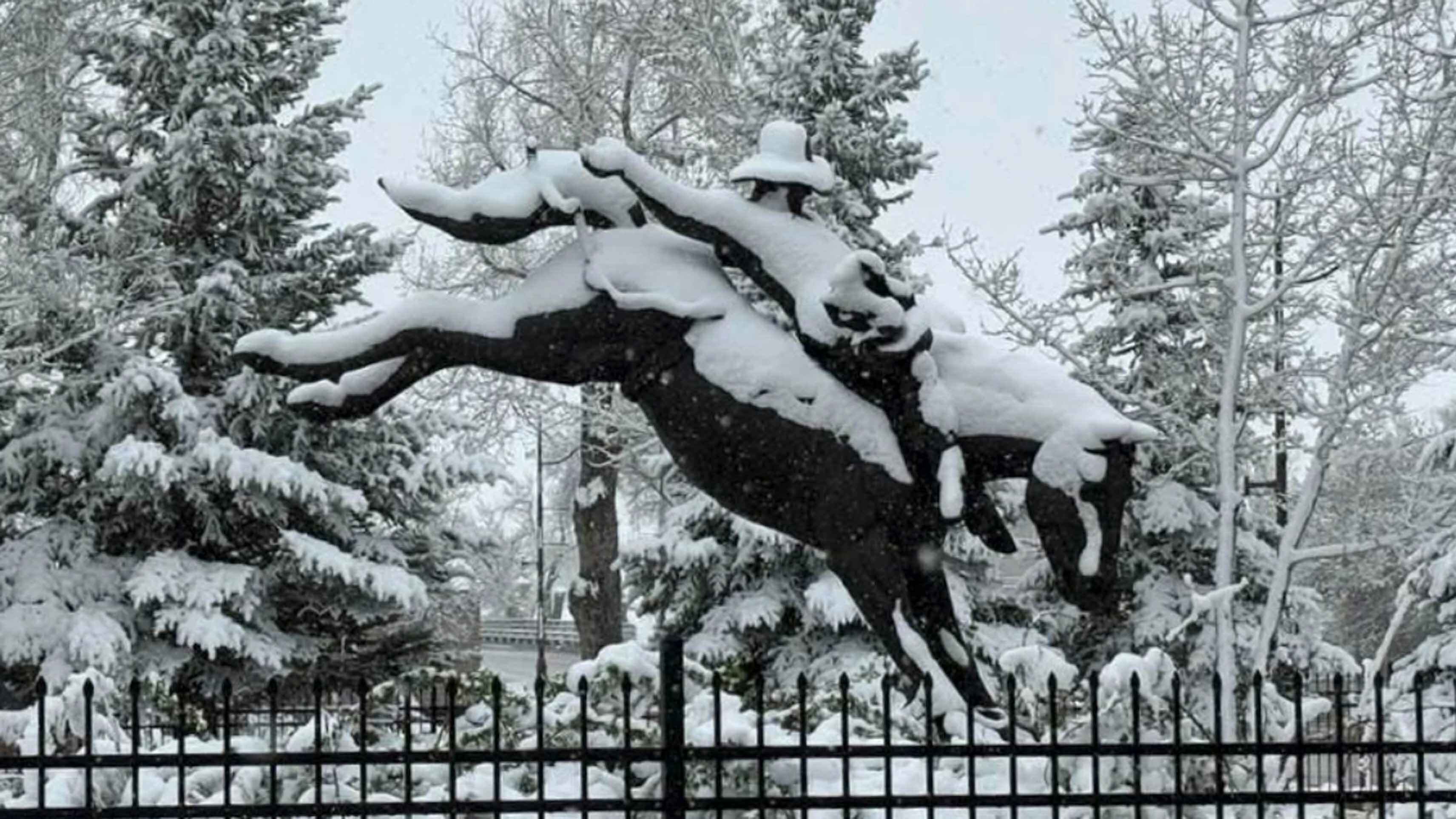 Snow day at Chris LeDoux Park in Kaycee