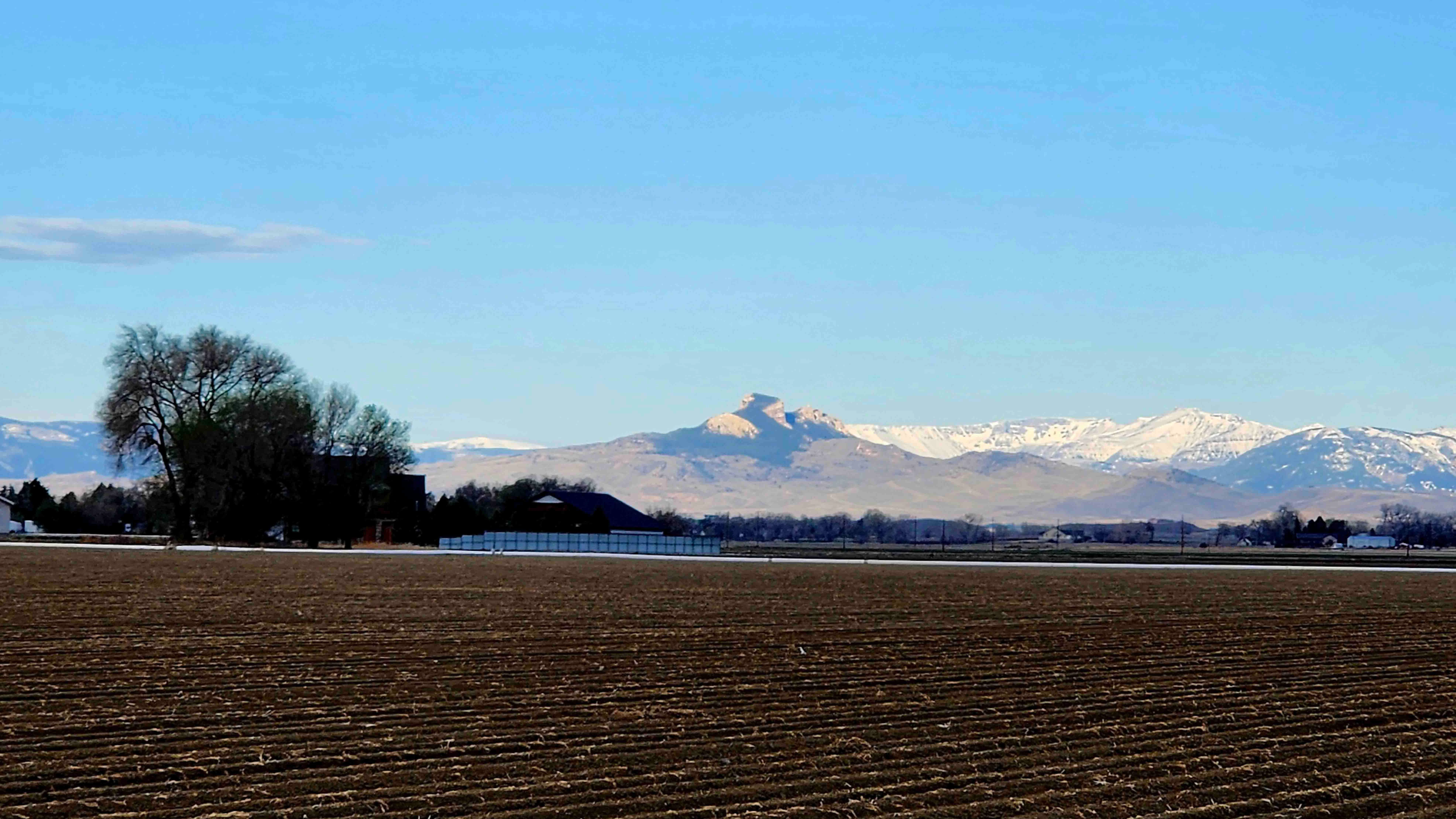 "Eastern sun shining on Heart Mountain as my dog and I walked near Northwest College Cody Center."