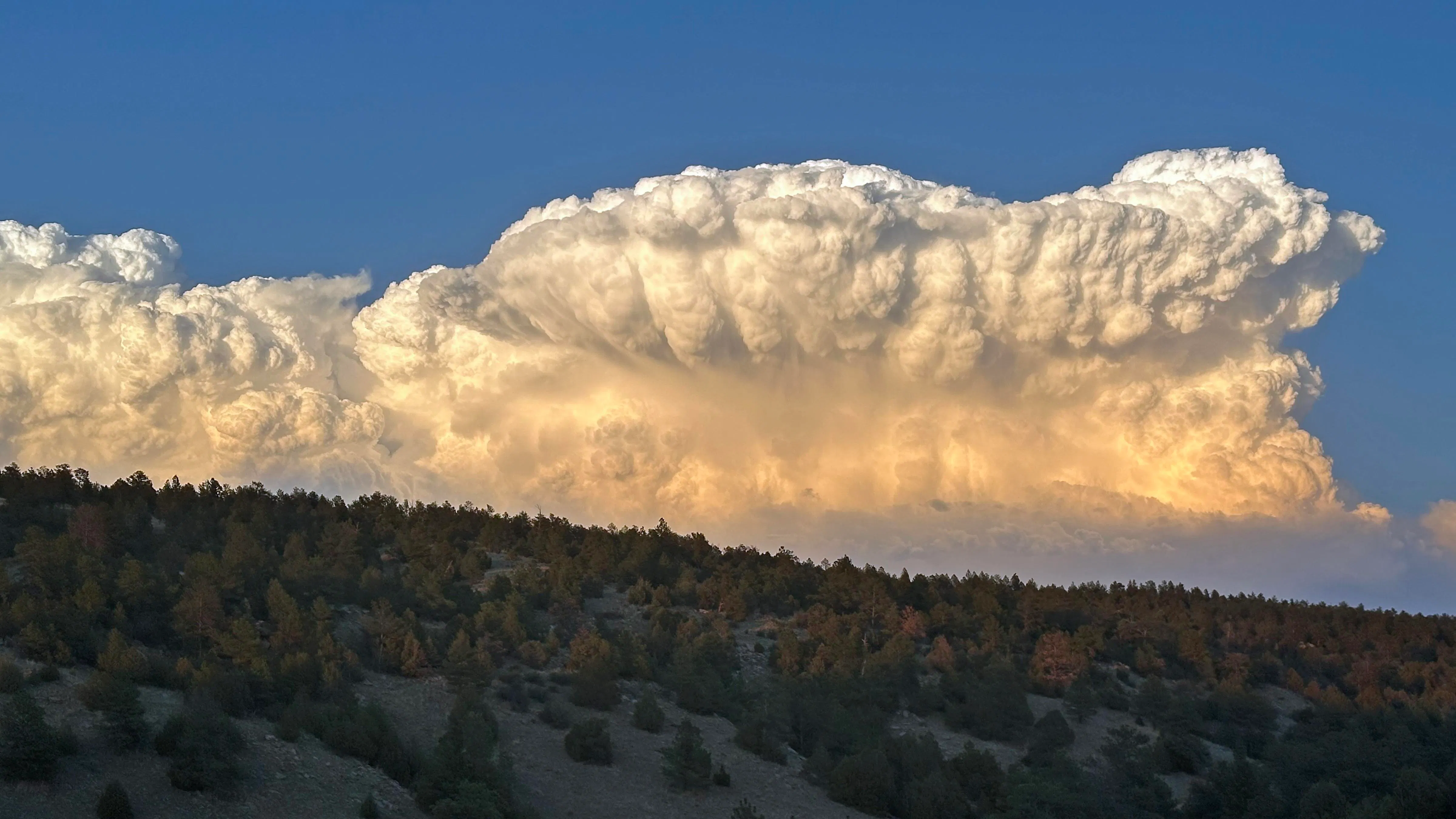 "Buildup east of Newcastle."