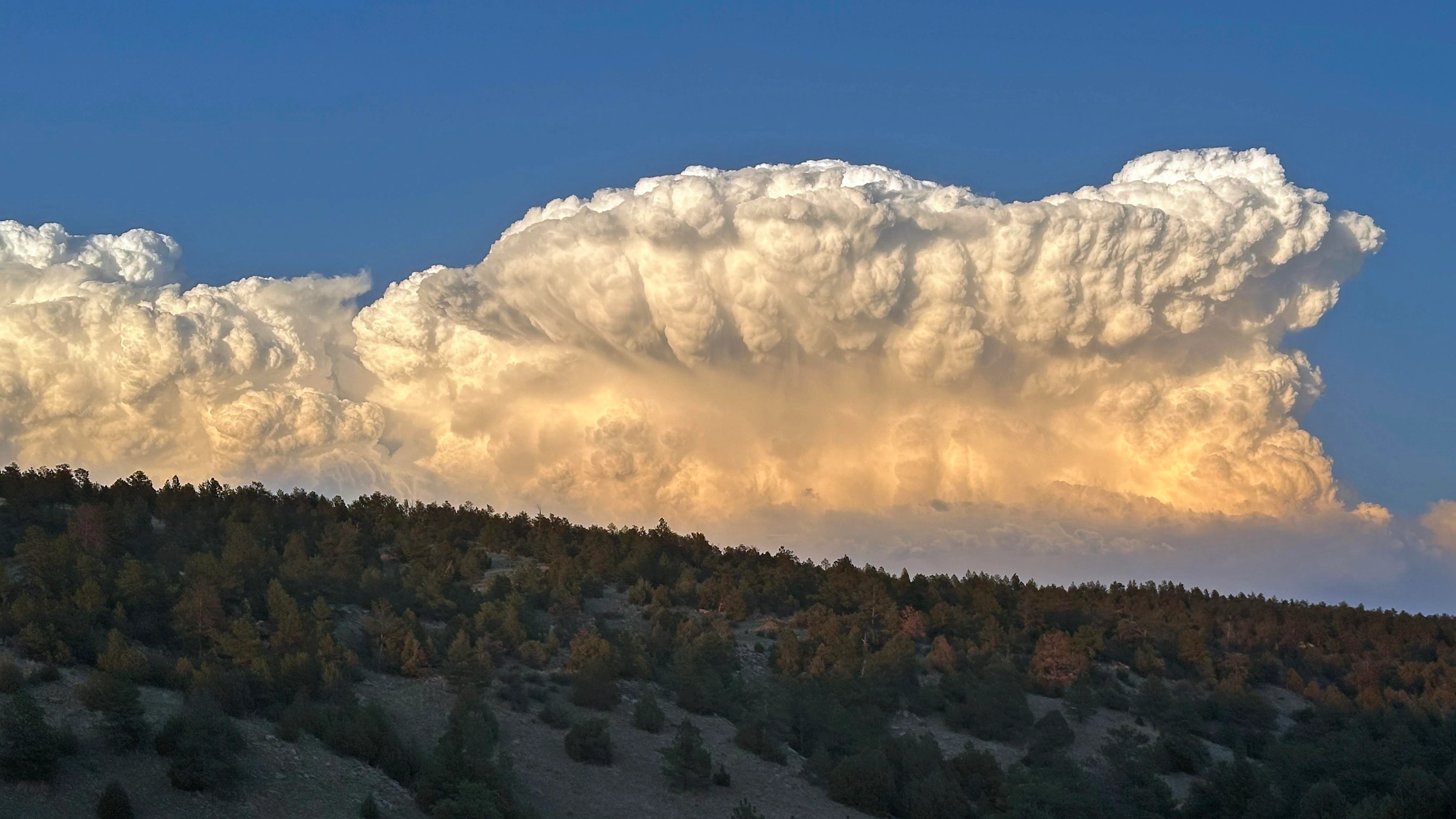 "Buildup east of Newcastle."