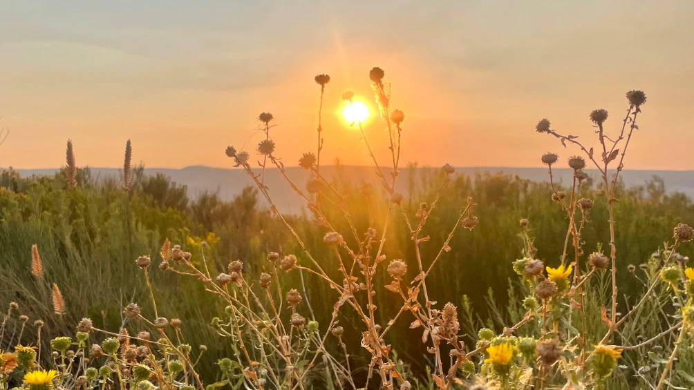 "Pretty shot of the smoky sunset last night in Rock Springs."