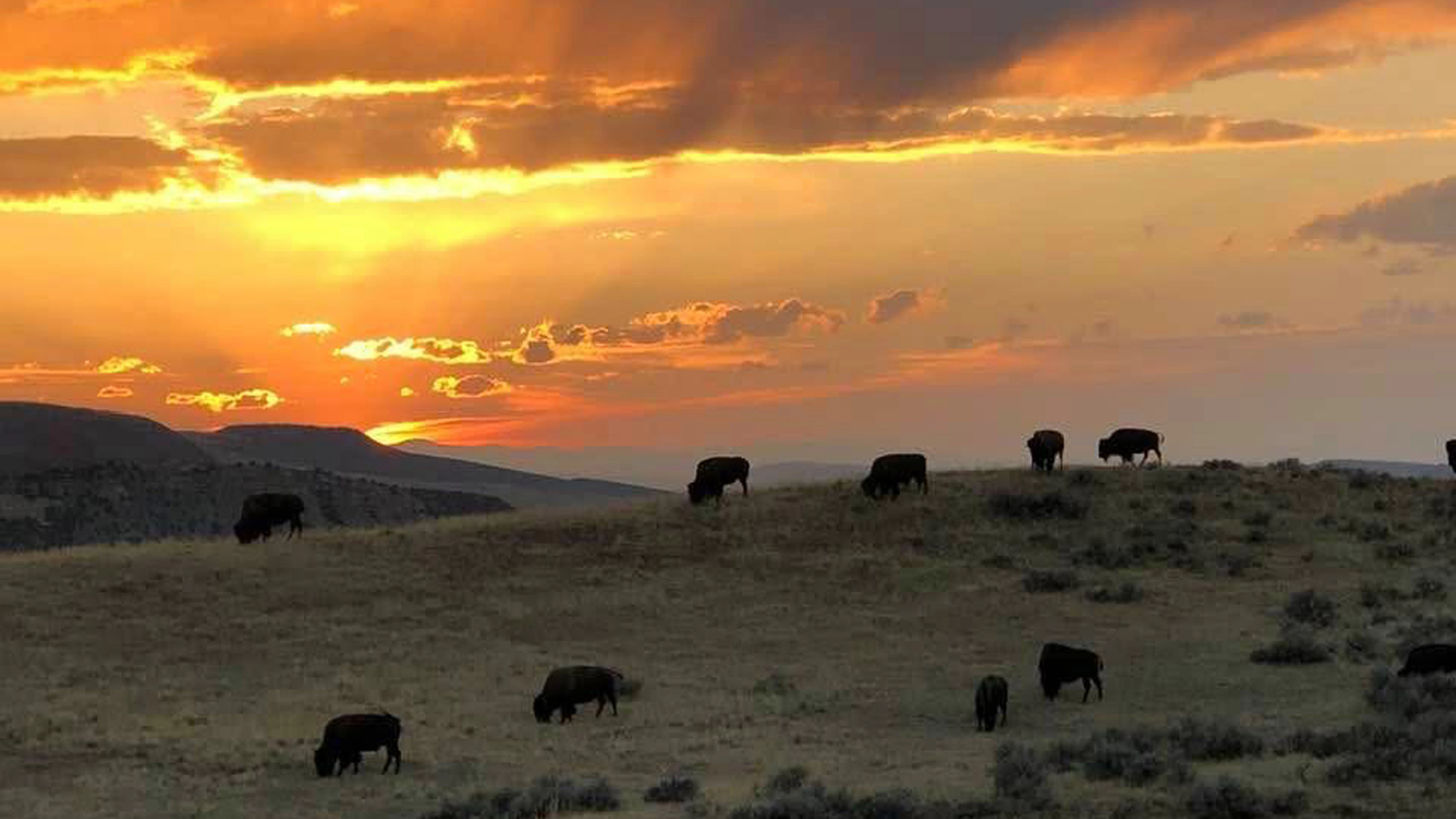 Sunset in the Buffalo Pasture in Hot springs State Park.