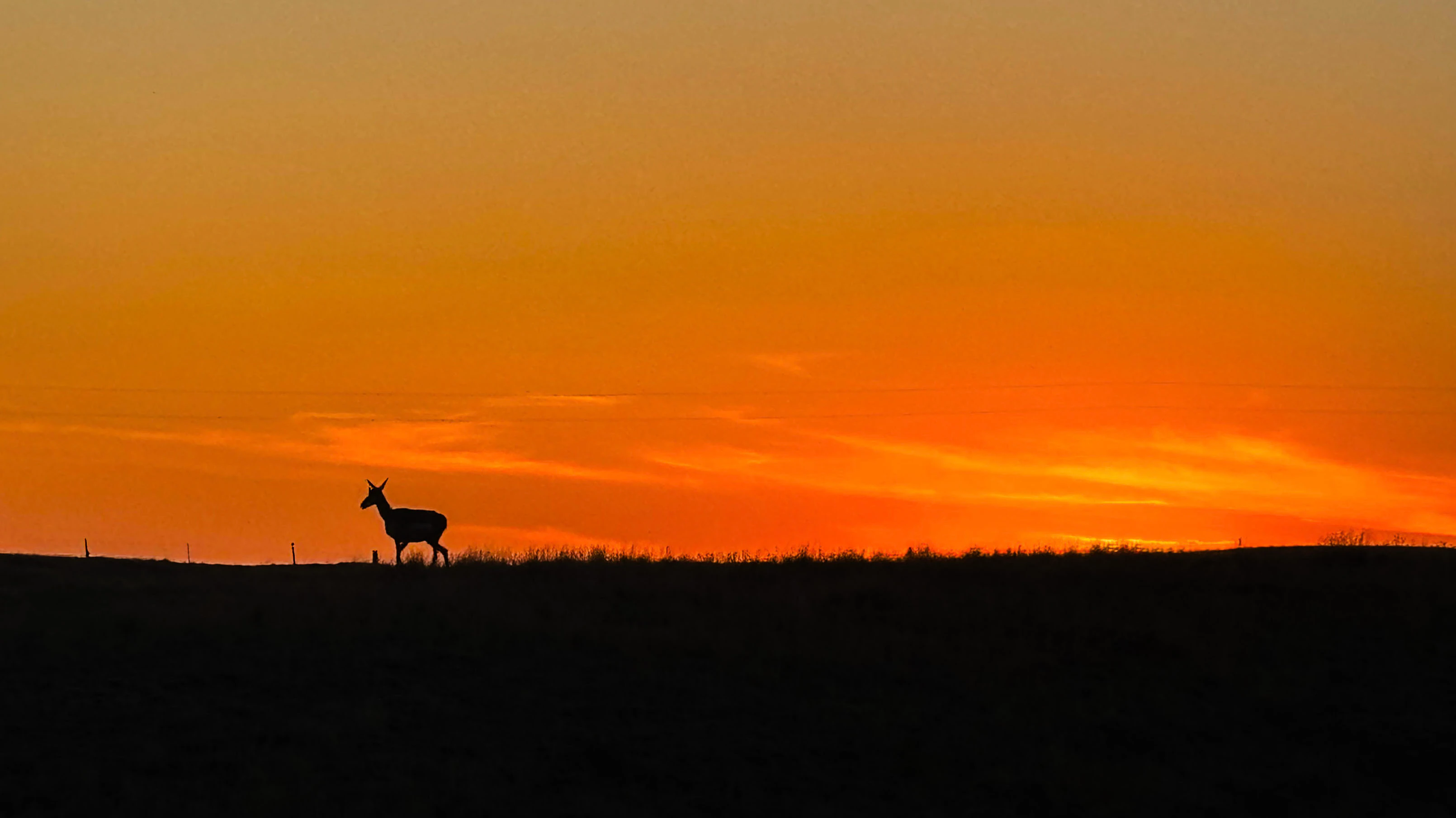 Prairie silhouette in Buford, WY