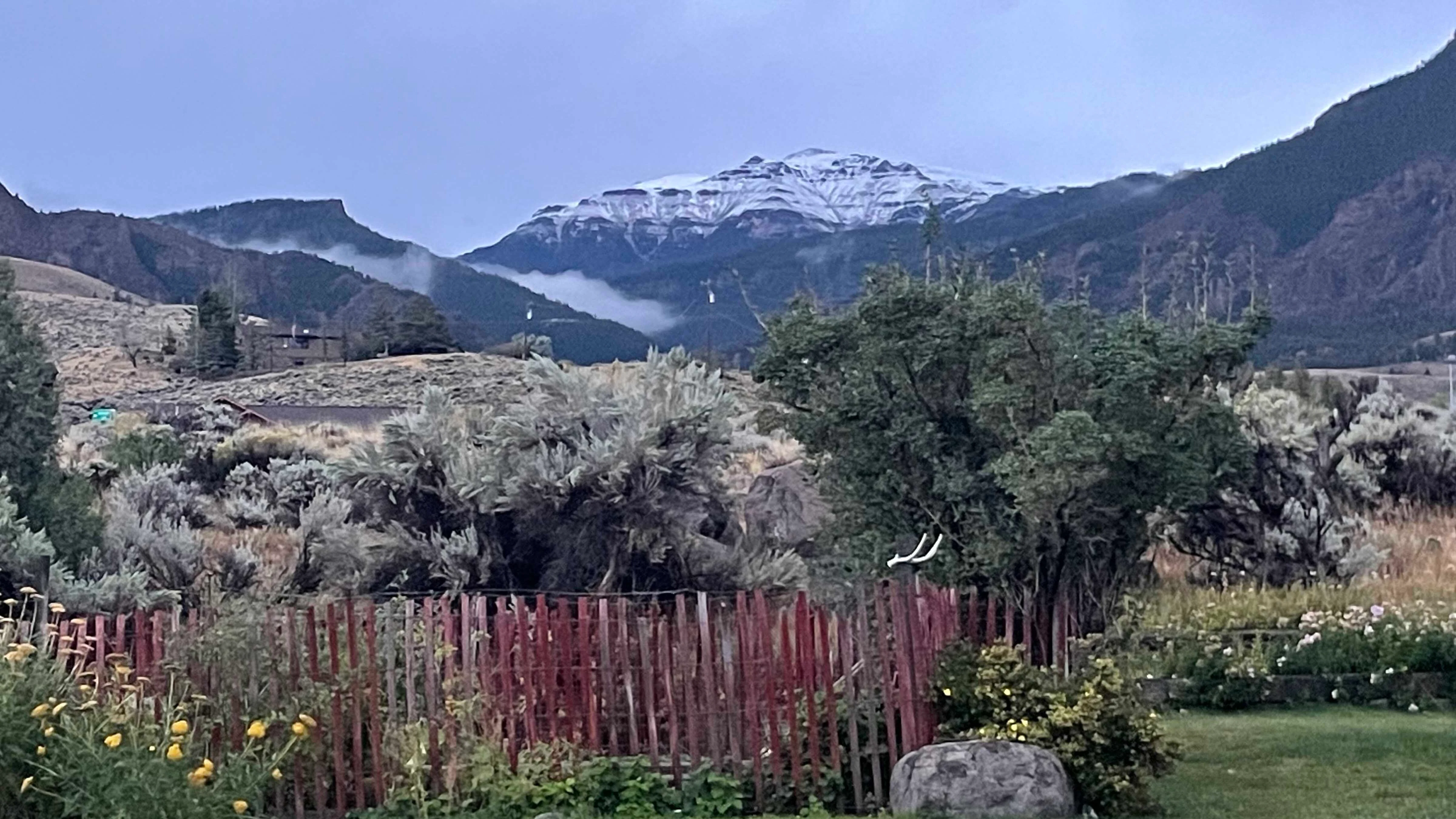 "It’s here! Snow on my walk in Wapiti, Wyoming."