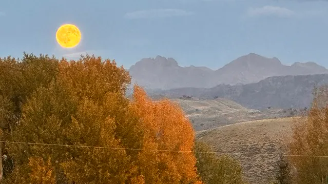 "Bright, full moon looking out the kitchen window."