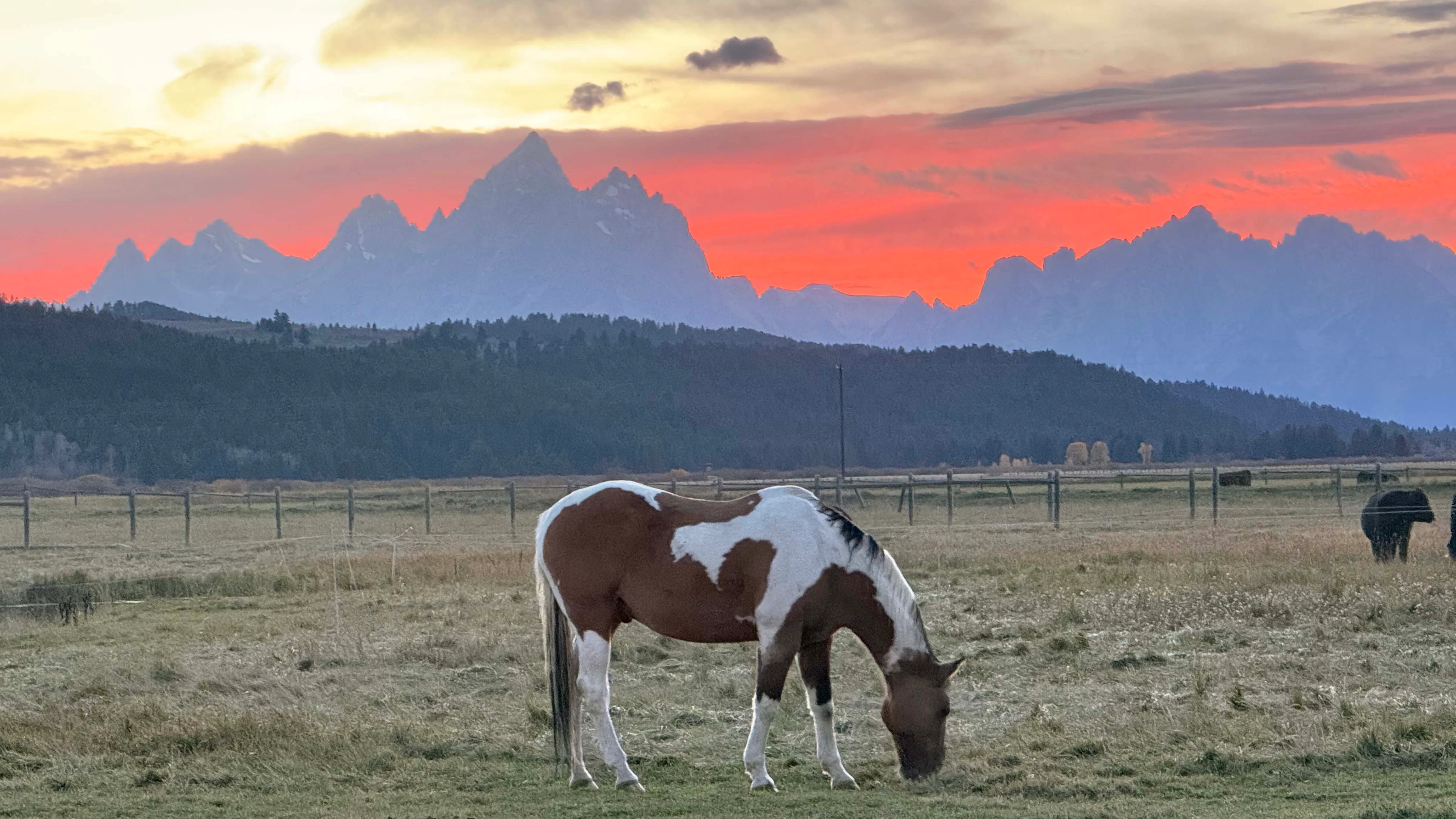 "Took this picture on my iPhone 16 in Moran WY Saturday evening. Thought your readers might enjoy."