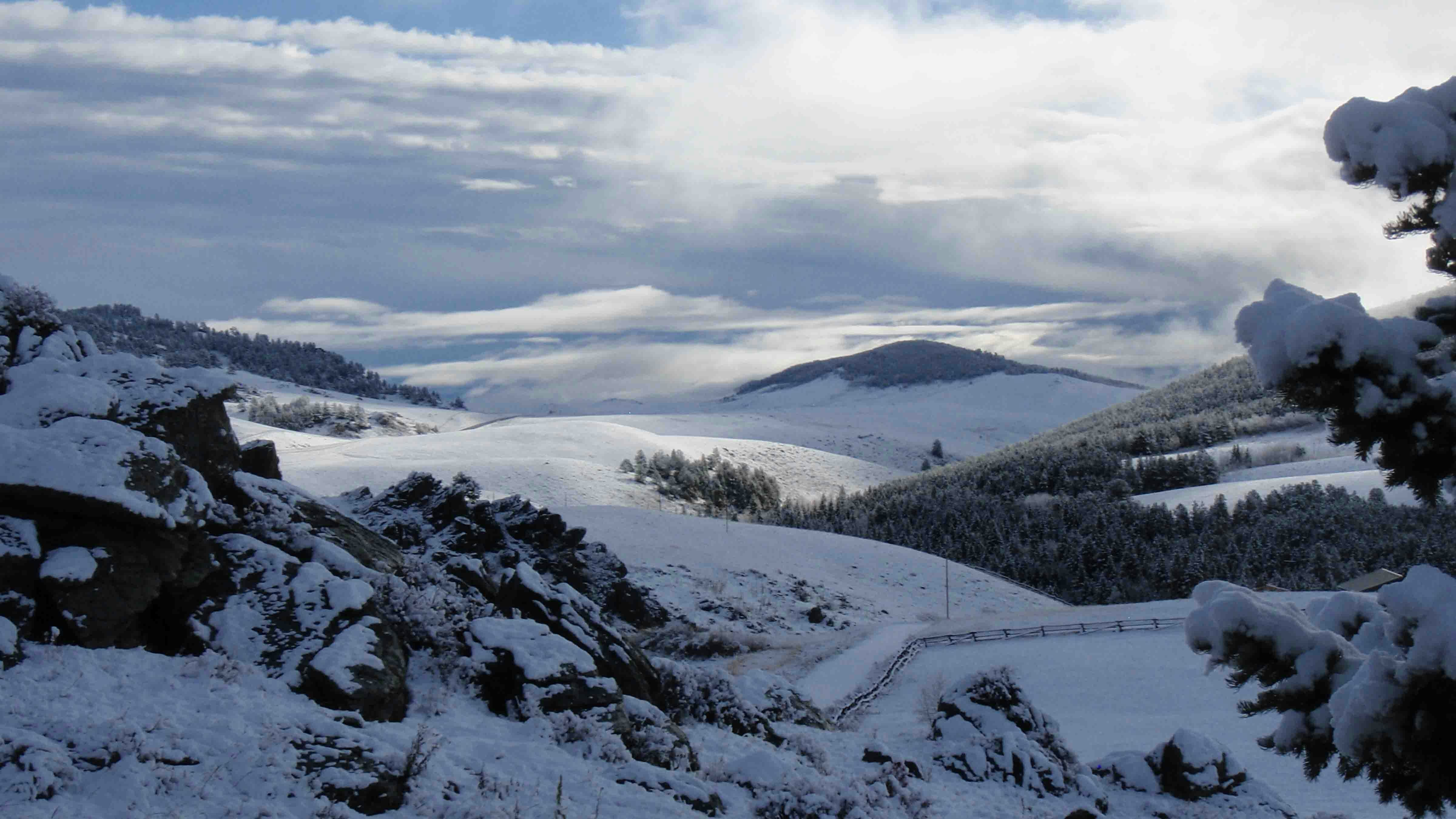 "Bighorn Mountains, west of Buffalo."