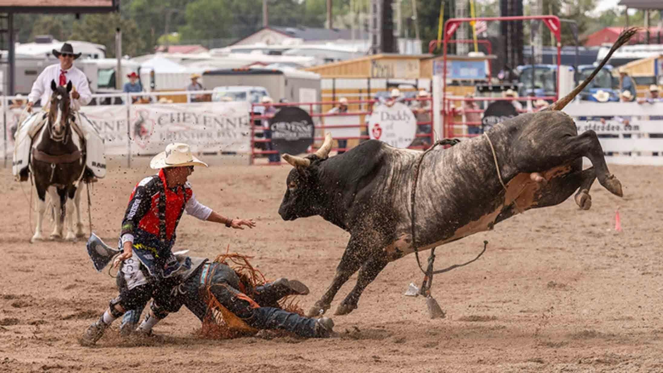 Bull Fighter Cody Webster jumps in to save a bull rider at the rodeo at Cheyenne Frontier Days