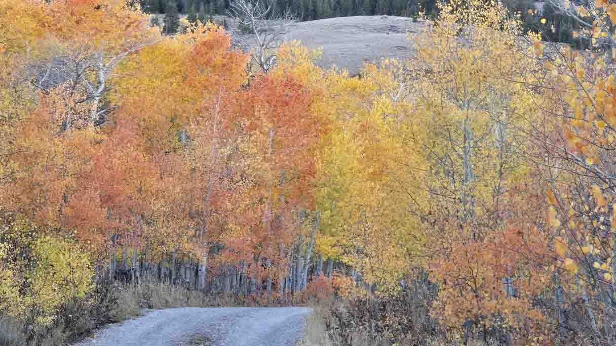 "Commissary "Ranch colors near Kemmerer."