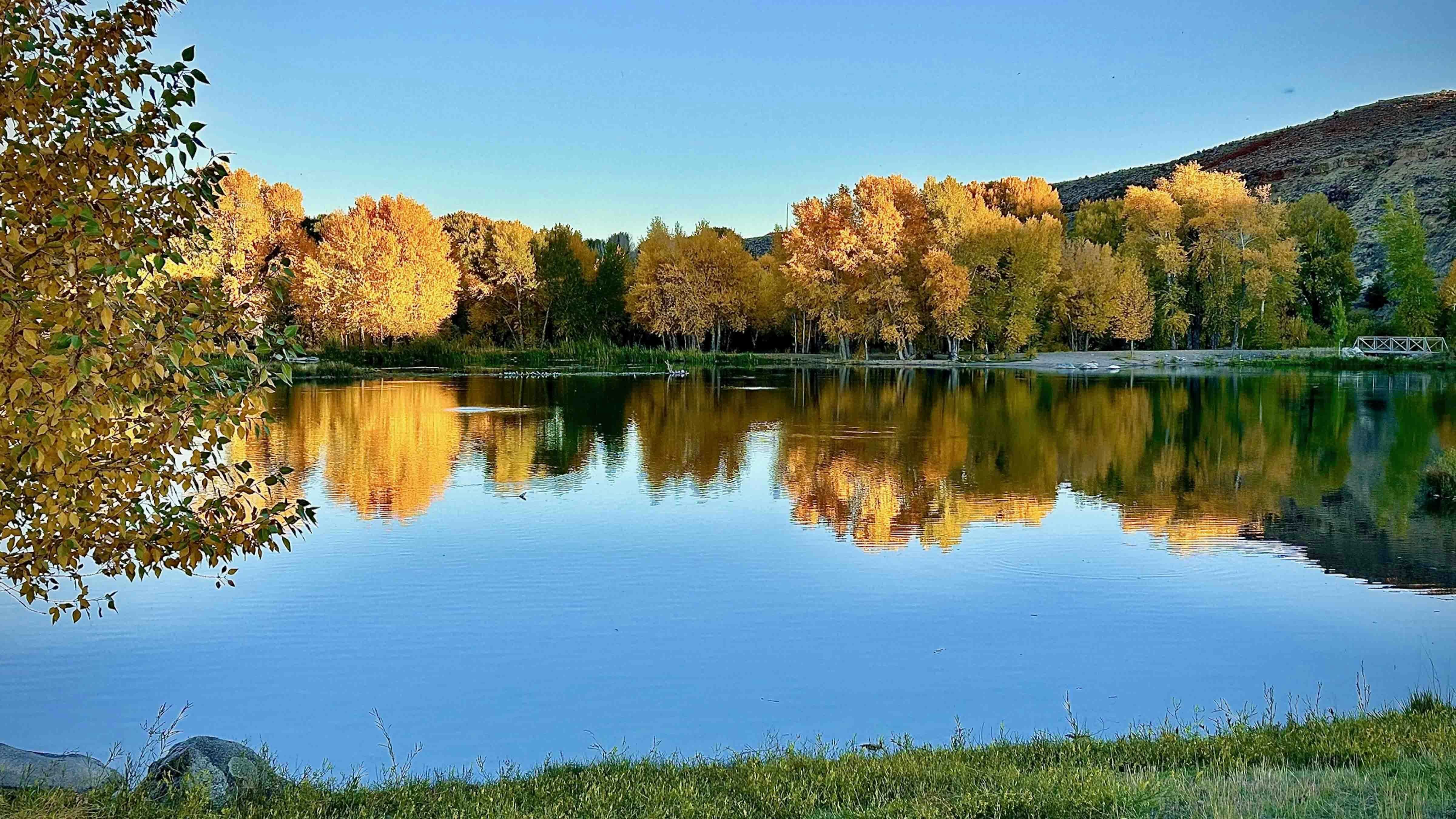 Turning fall foliage captured last evening at Pete’s Pond in Dubois.