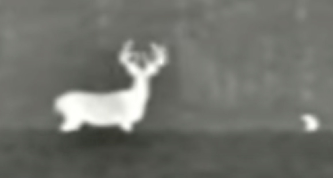 Deer scope 9 19 22