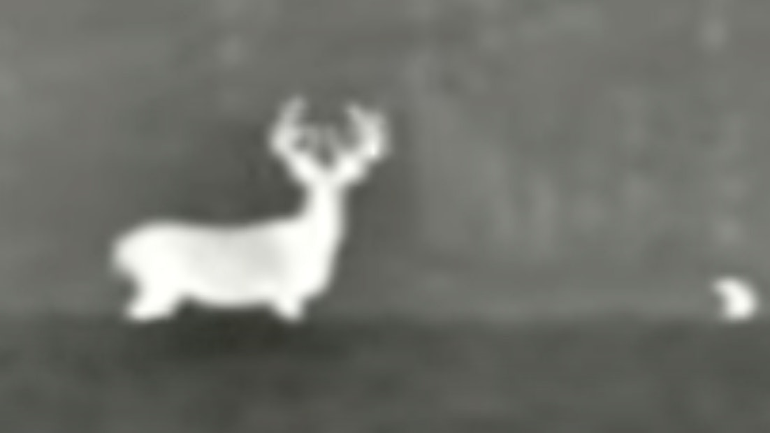 Deer scope 9 19 22