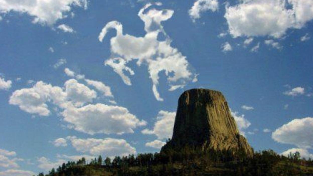 Devils tower bucking horse