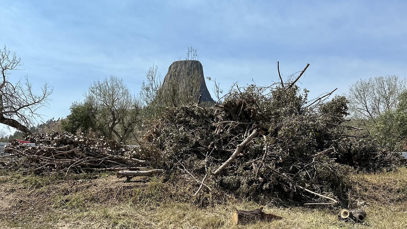 Cleanup continues after a devasting hailstorm that dropped baseball-sized stones at Devils Tower and closed the monument. At the KOA campground near the base of the tower, they've been repairing damage and clearing away more than 200 trees that were downed by the storm.