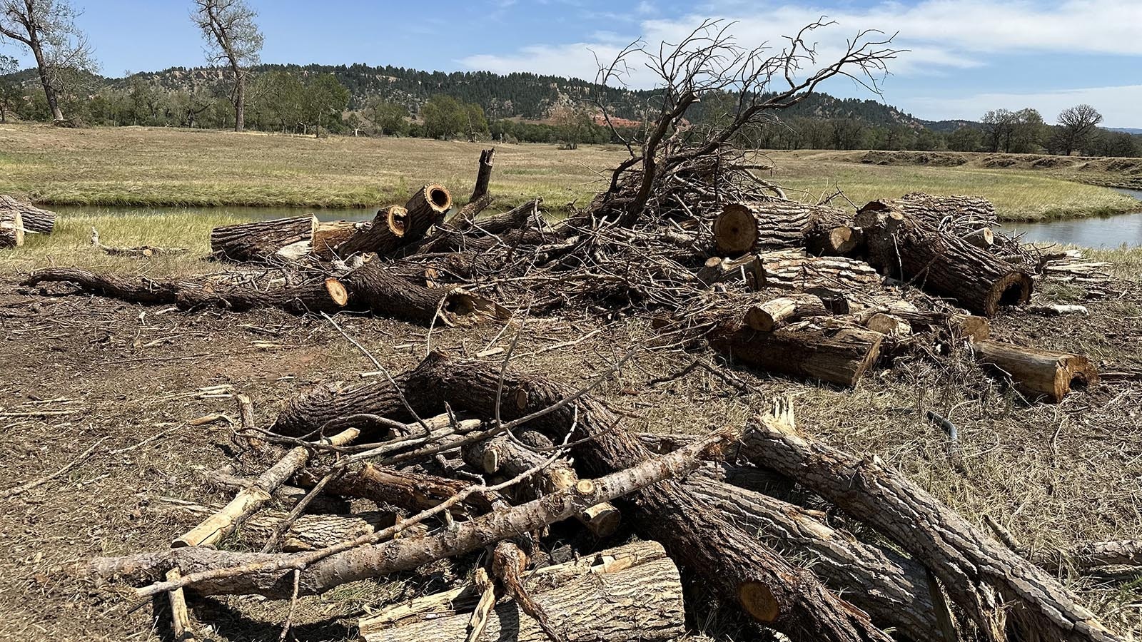 Cleanup continues after a devasting hailstorm that dropped baseball-sized stones at Devils Tower and closed the monument. At the KOA campground near the base of the tower, they've been repairing damage and clearing away more than 200 trees that were downed by the storm.