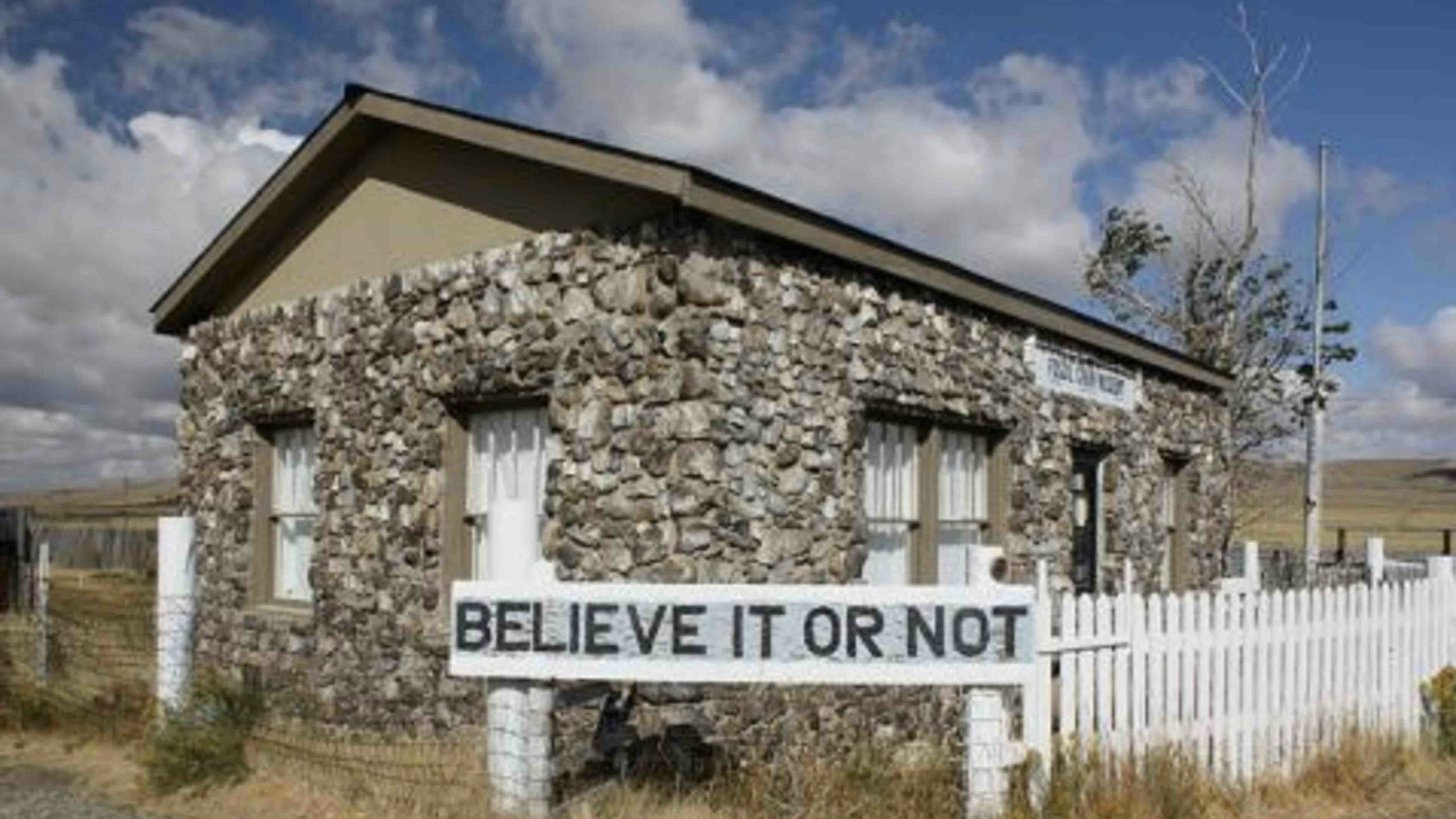 Dinosaur house scaled