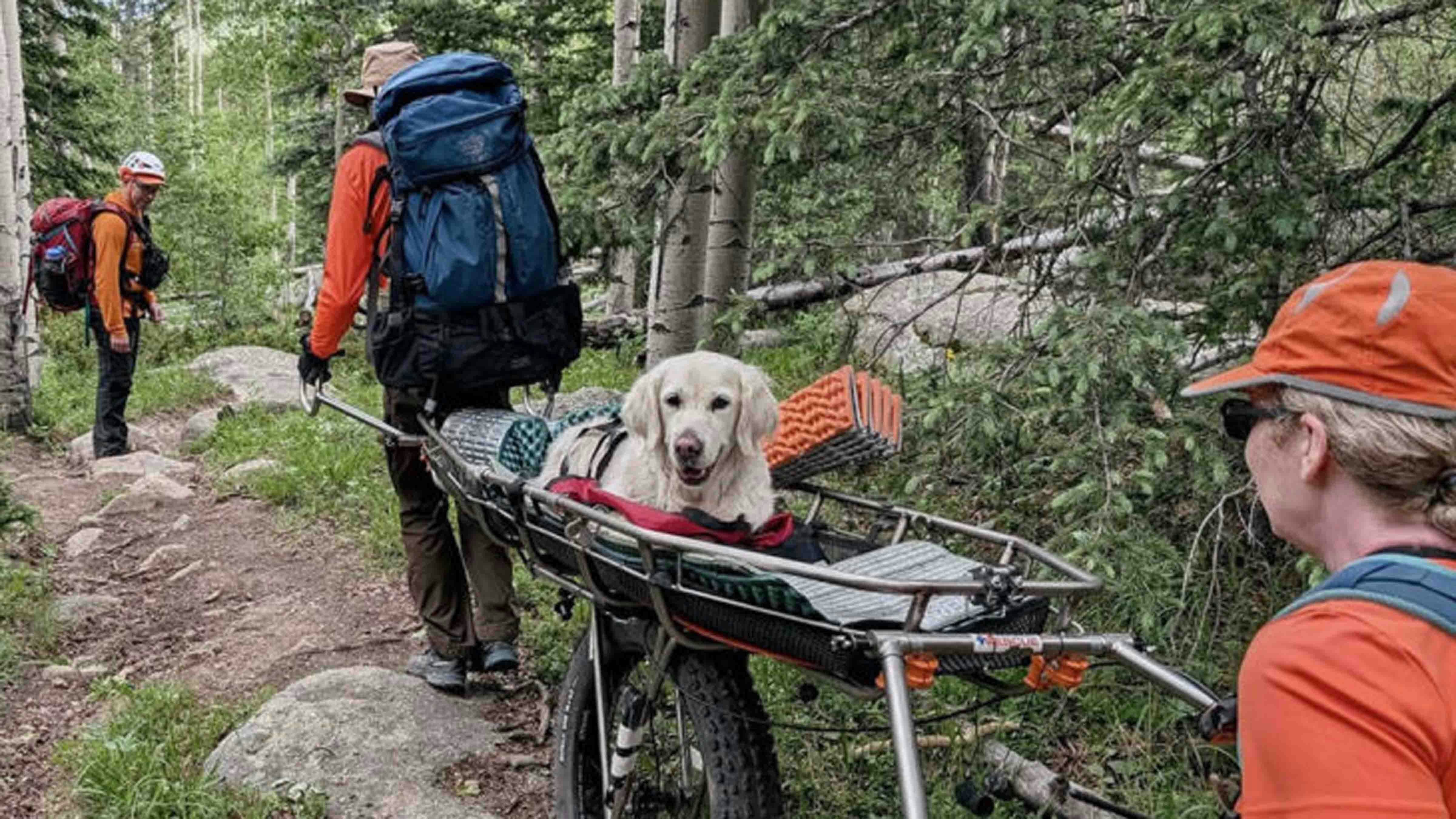 A Park County, Colorado, search and rescue team went 11 miles and spent 10 hours rescuing a dog that was overcome with exhaustion during a hike on June 24. Wyoming search and rescue teams aren’t willing to do that, you’d have to carry your dog out yourself here.