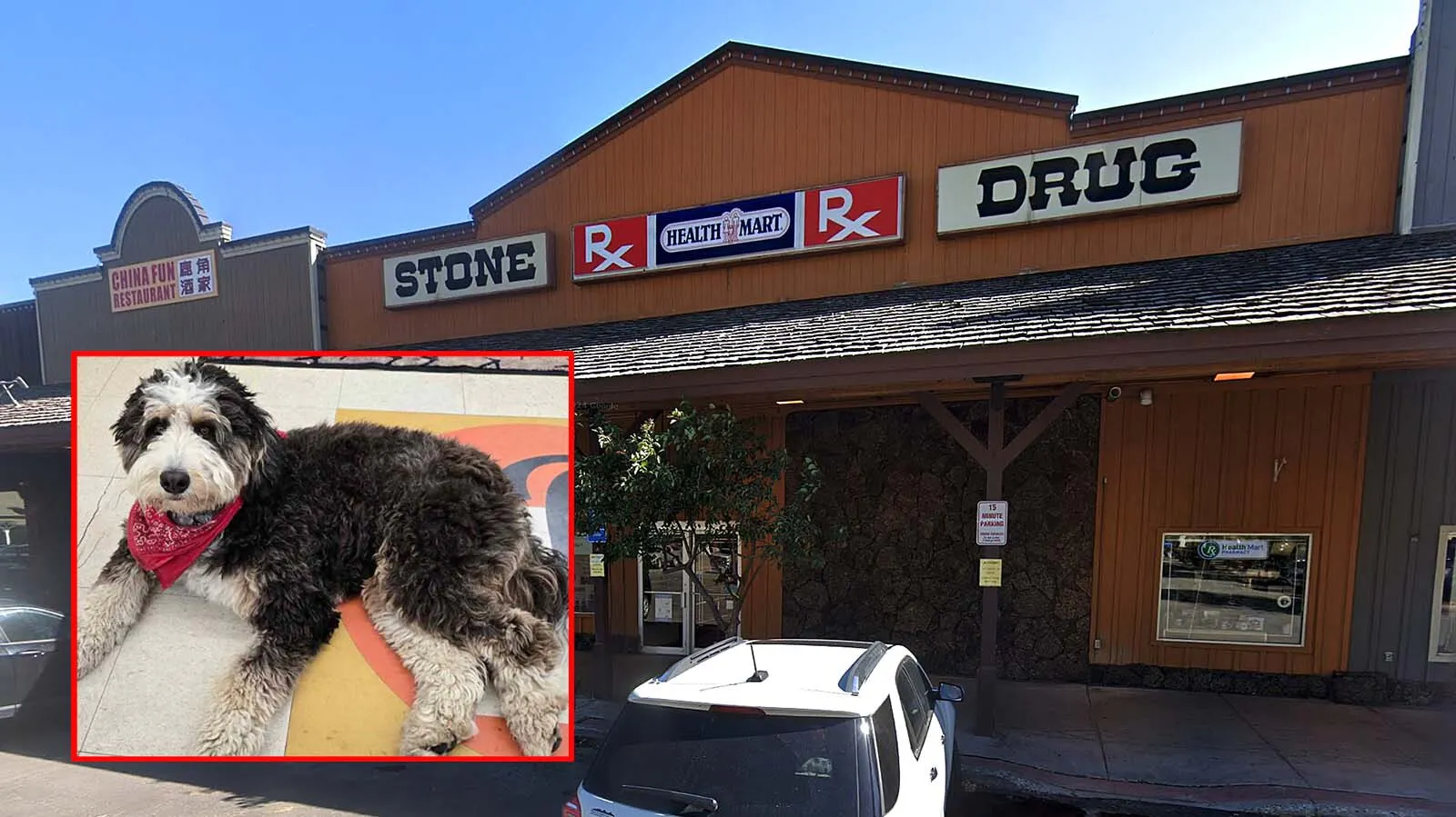 Stone Drug, Jackson’s go-to pharmacy for 50 years, survives with a wildly diverse front-end to fight sky-high housing local housing costs and razor-thin medication margins. It also has a loyal following of its store dogs, Zuri and Lucy.