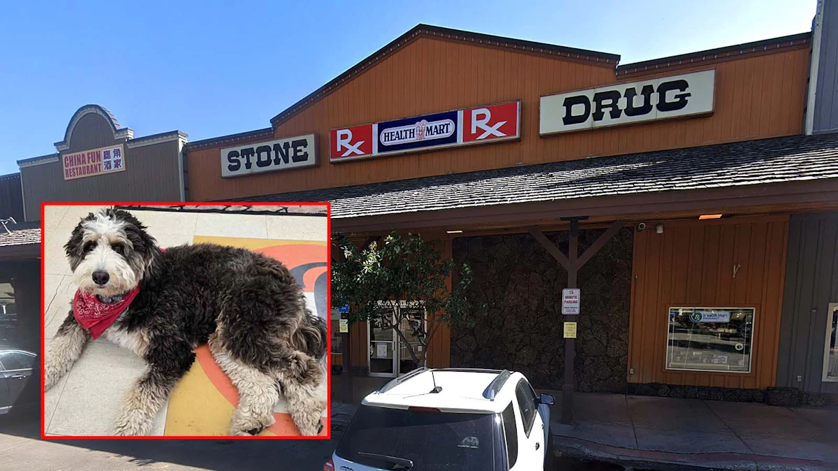 Stone Drug’s Secret Prescription After 50 Years In Jackson Are Two Lovable Dogs