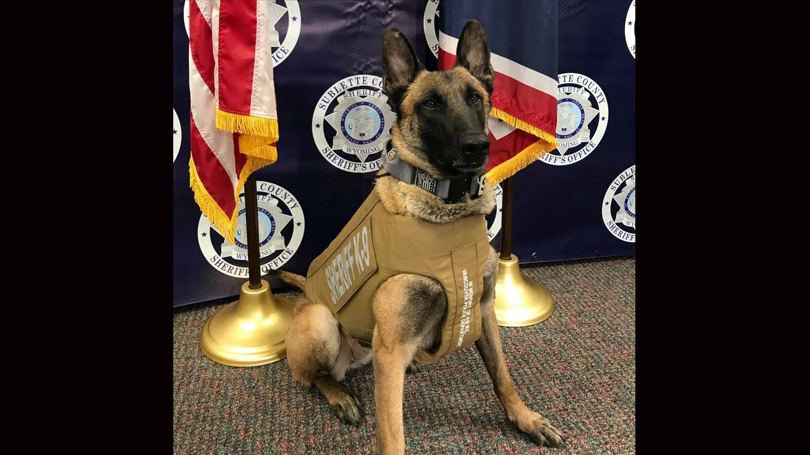 Westerville K9 Bruno receives donation of body armor