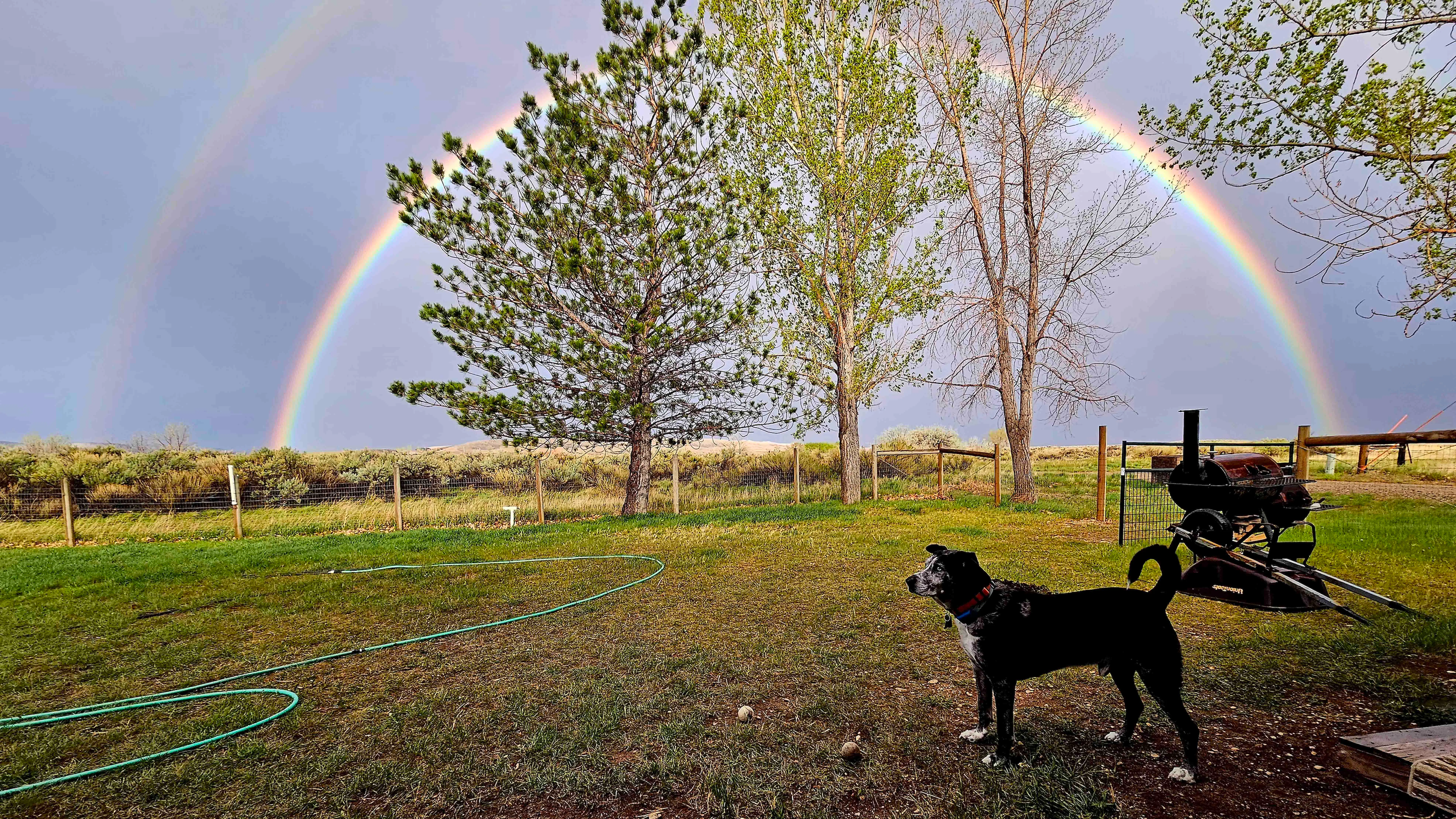 "Beautiful show by mother nature coming out of Greybull."