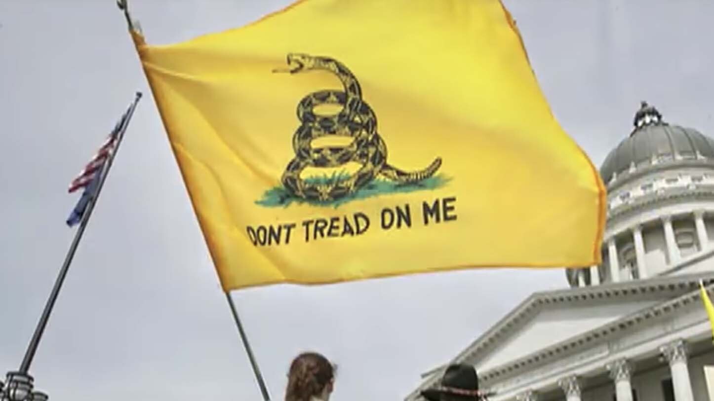 Dont tread flag