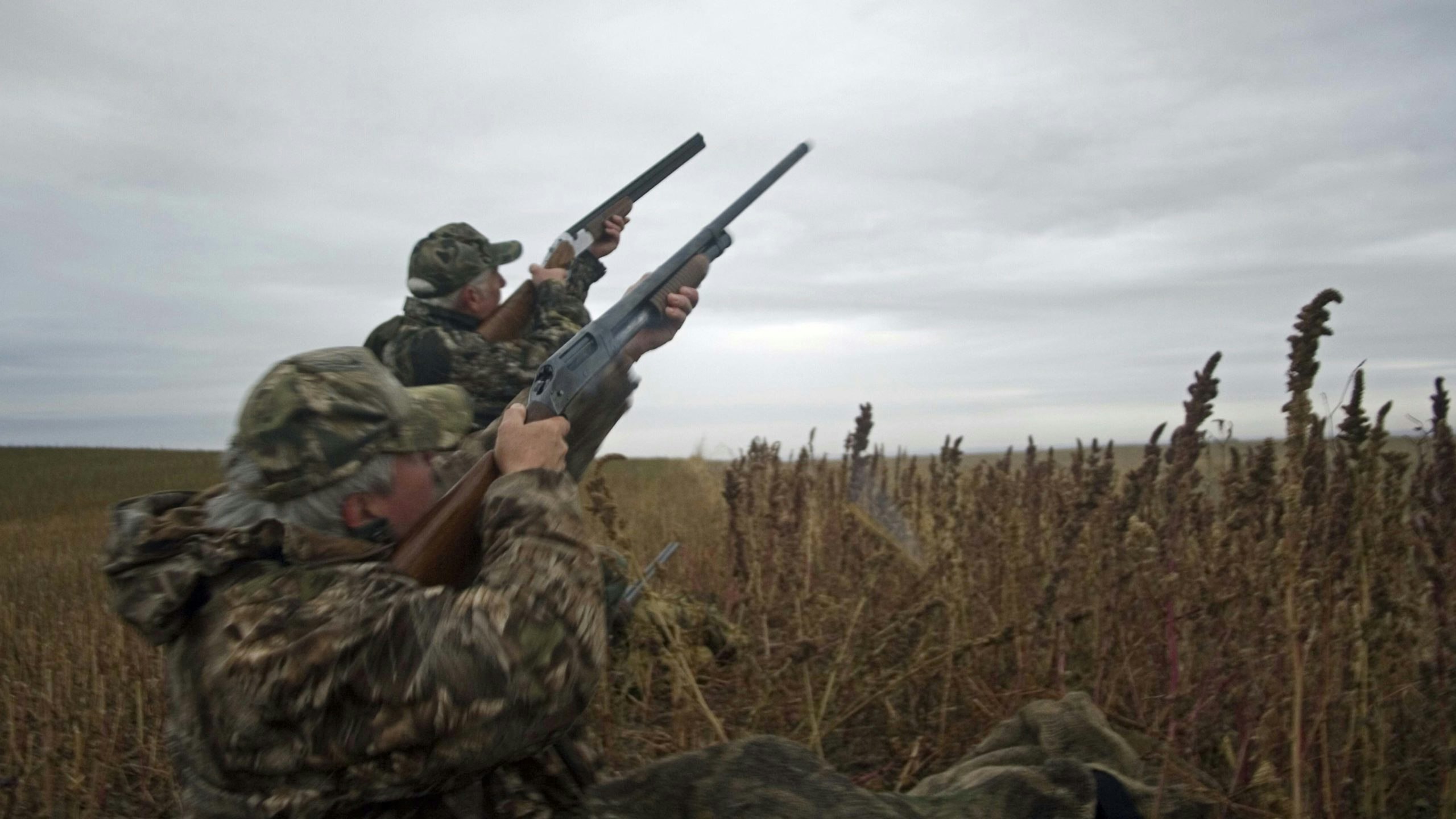 Duck and Goose hunting seasons open Saturday in Wyoming. But it may take cooler weather to draw more birds into the state.