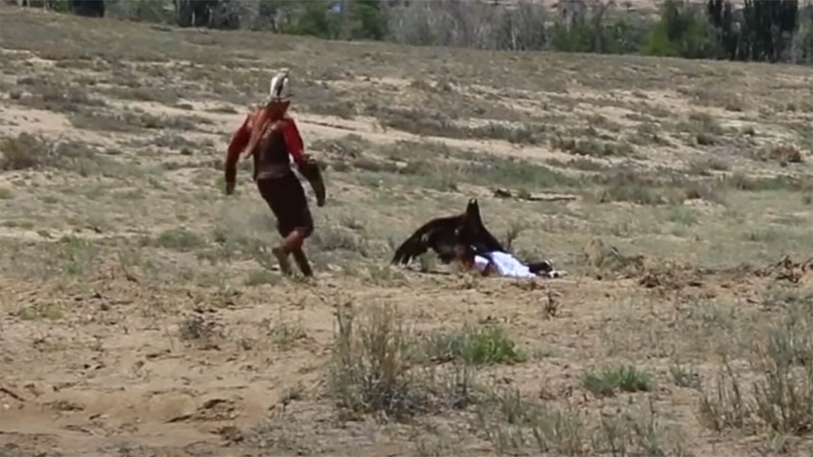 Eagle attacks girl 11 3 22