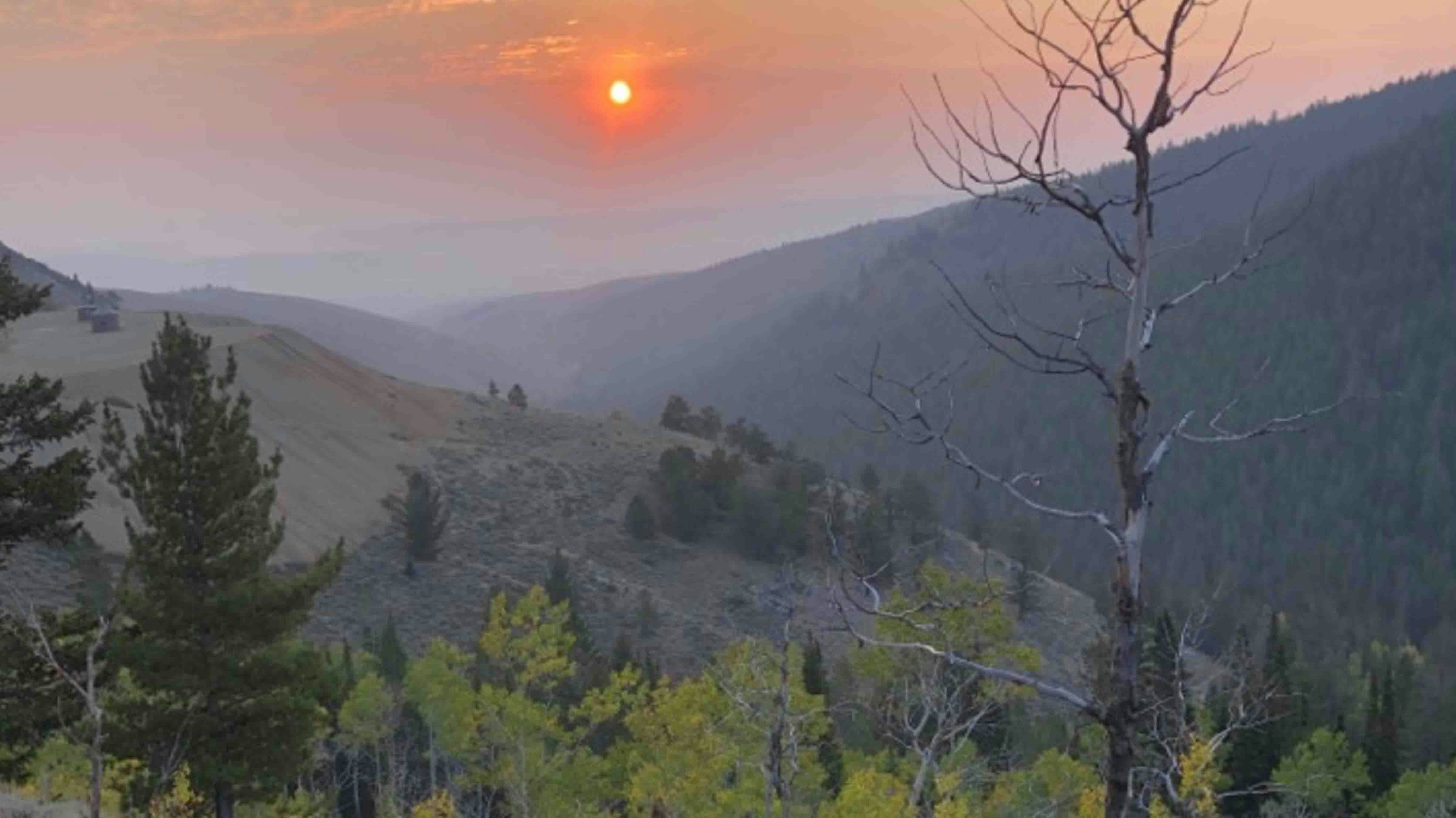 Elk hunting sunrise outside of Big Piney, Wyoming on September 11, 2023.