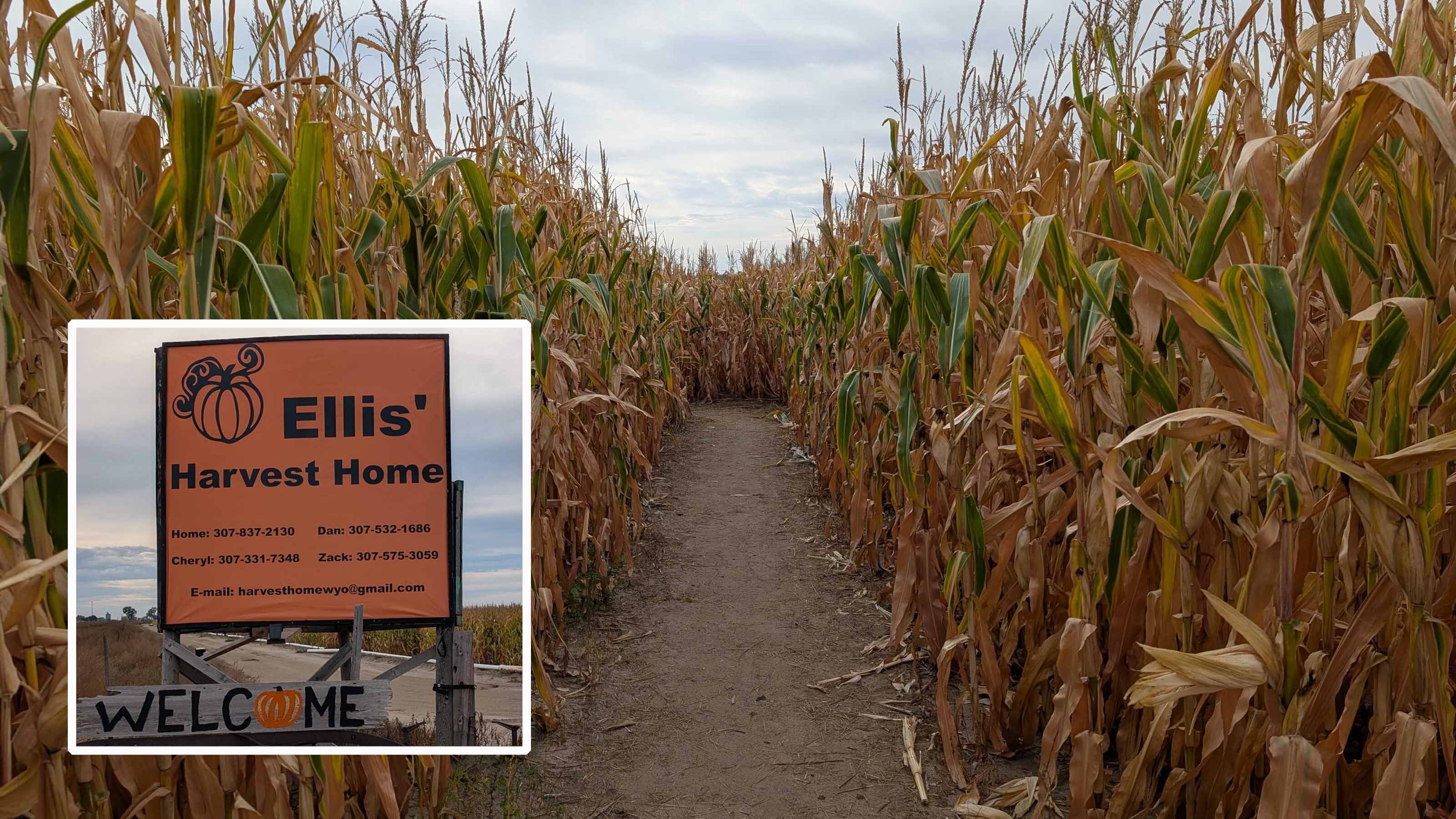 Ellis harvest home 10 10 25