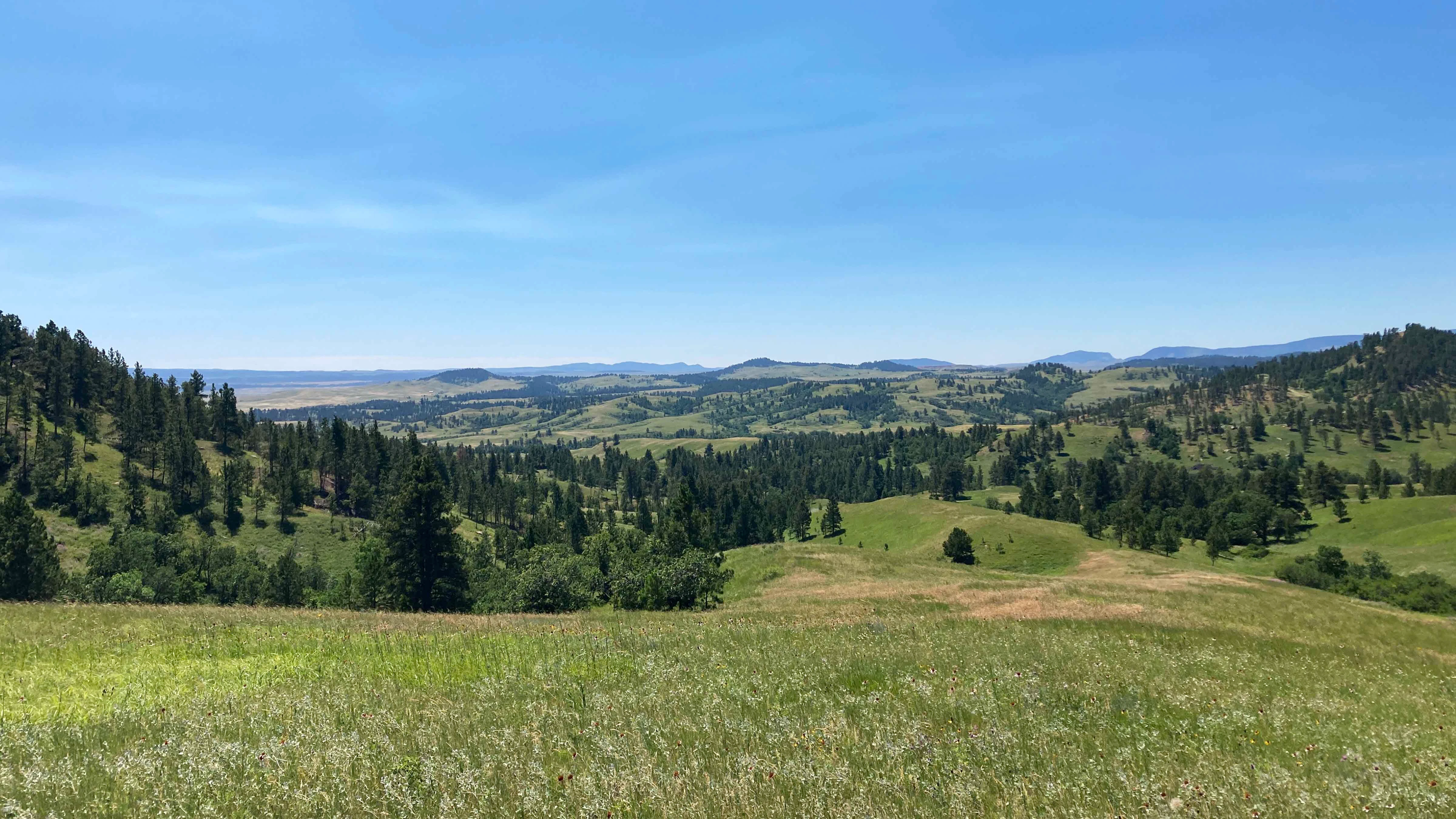 Crook County rancher David Ellsbury promised his mother on the day she died that the fourth-generation family ranch would never be developed. By donating it to a land trust last week, he has fulfilled her wishes. “It will never be developed,” Ellsbury said.
