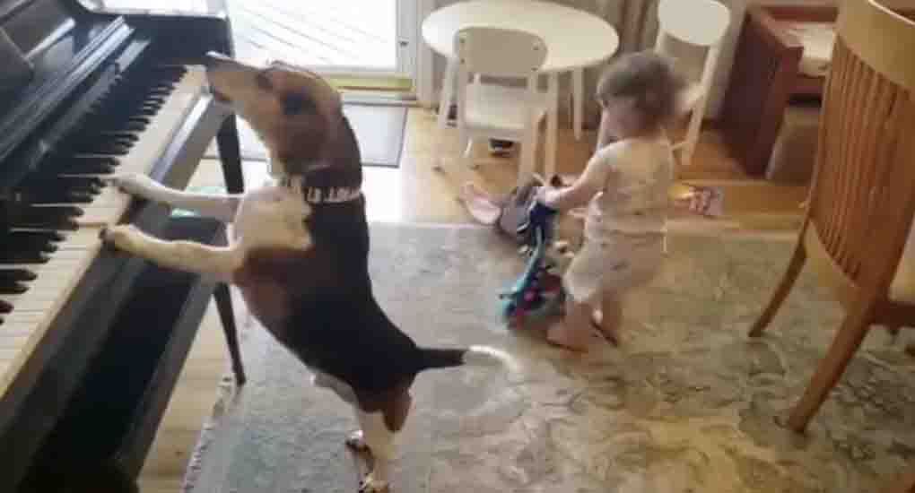 Entertainment 1 5 26