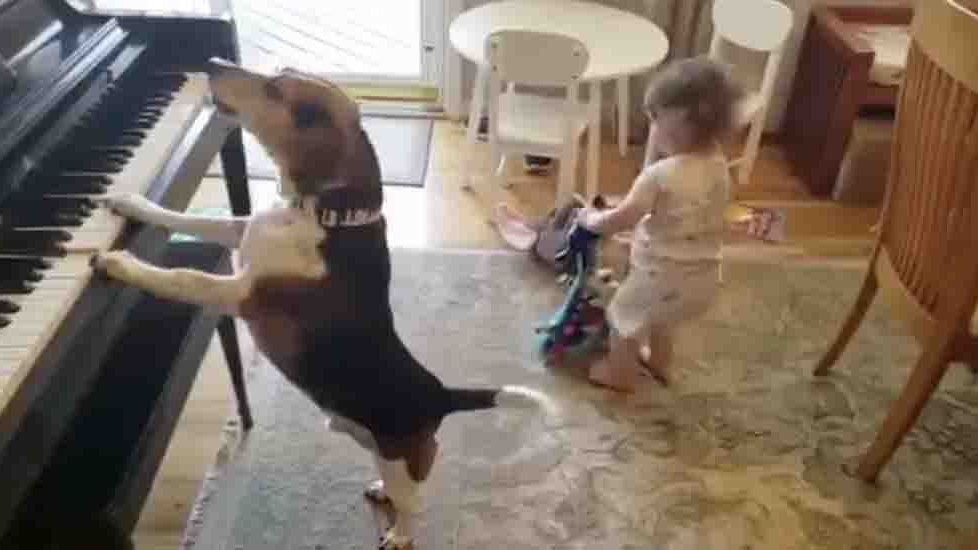 Entertainment 1 5 26