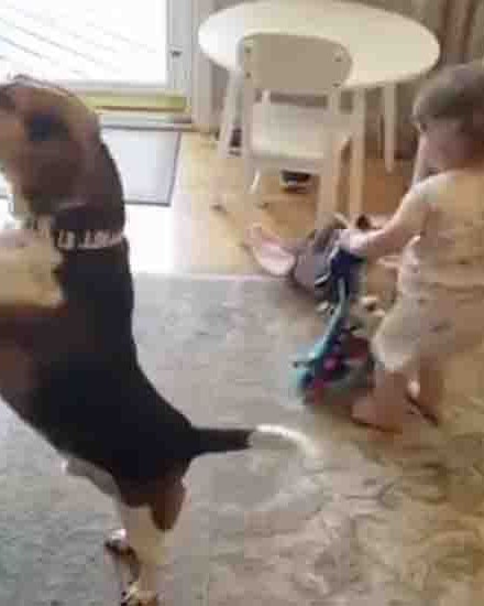 Entertainment 1 5 26