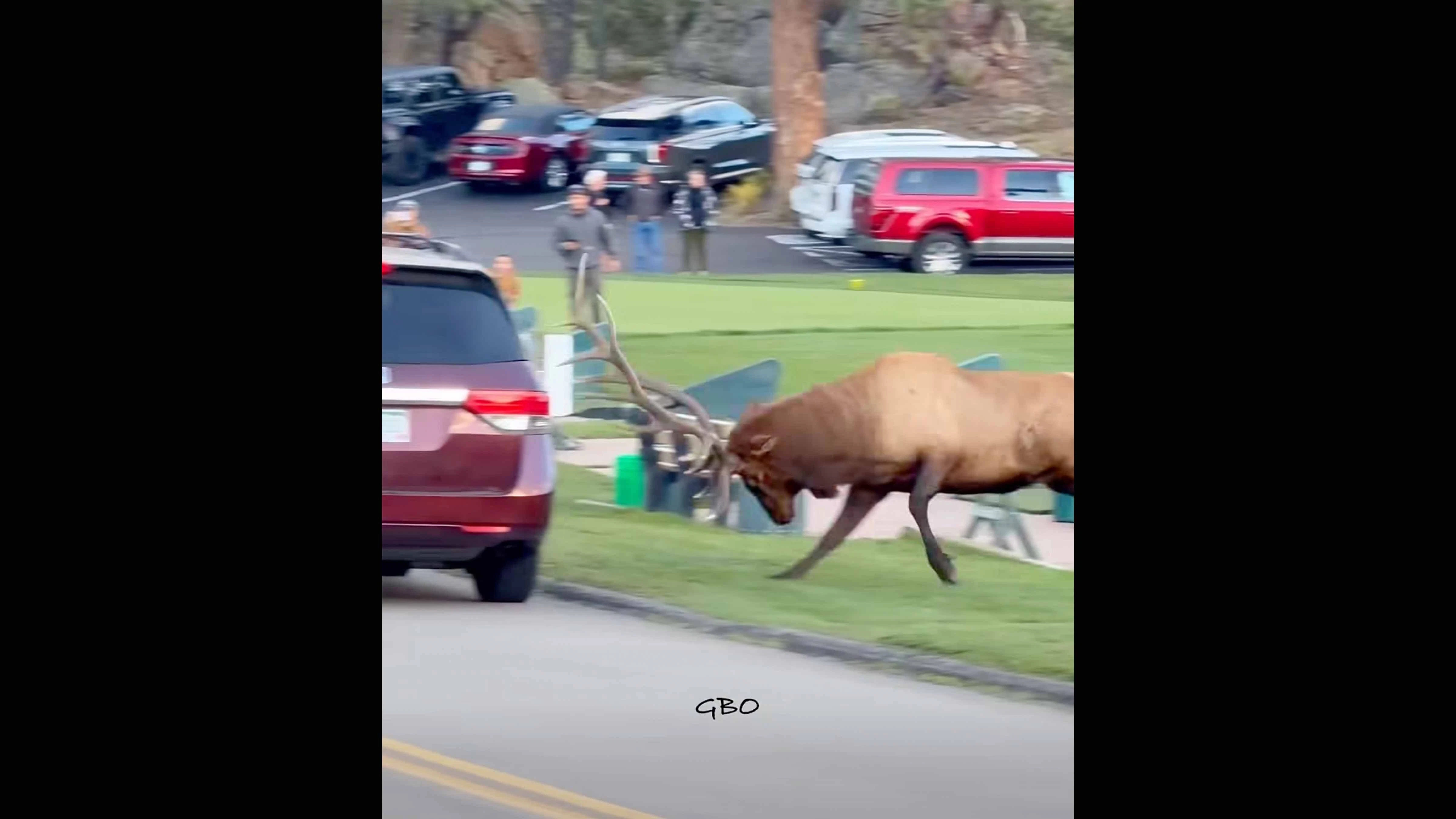 Estes park 10 10 26