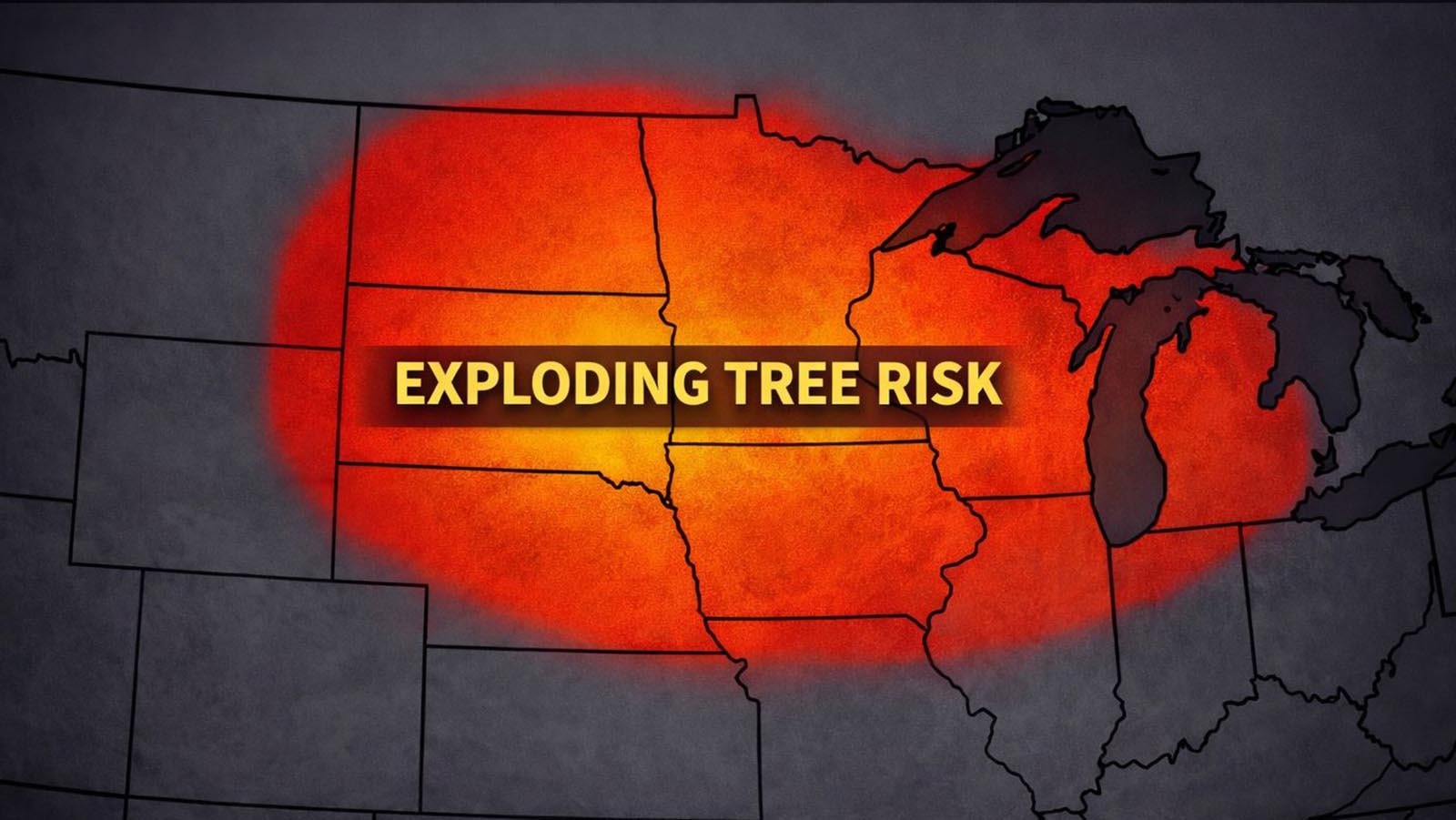 Meteorologists are warning that an incoming subzero cold snap comes with an increased risk of "exploding trees." Arborists say it's a real thing that can sever branches, crack trunks, and sound like a gunshot when trees pop.