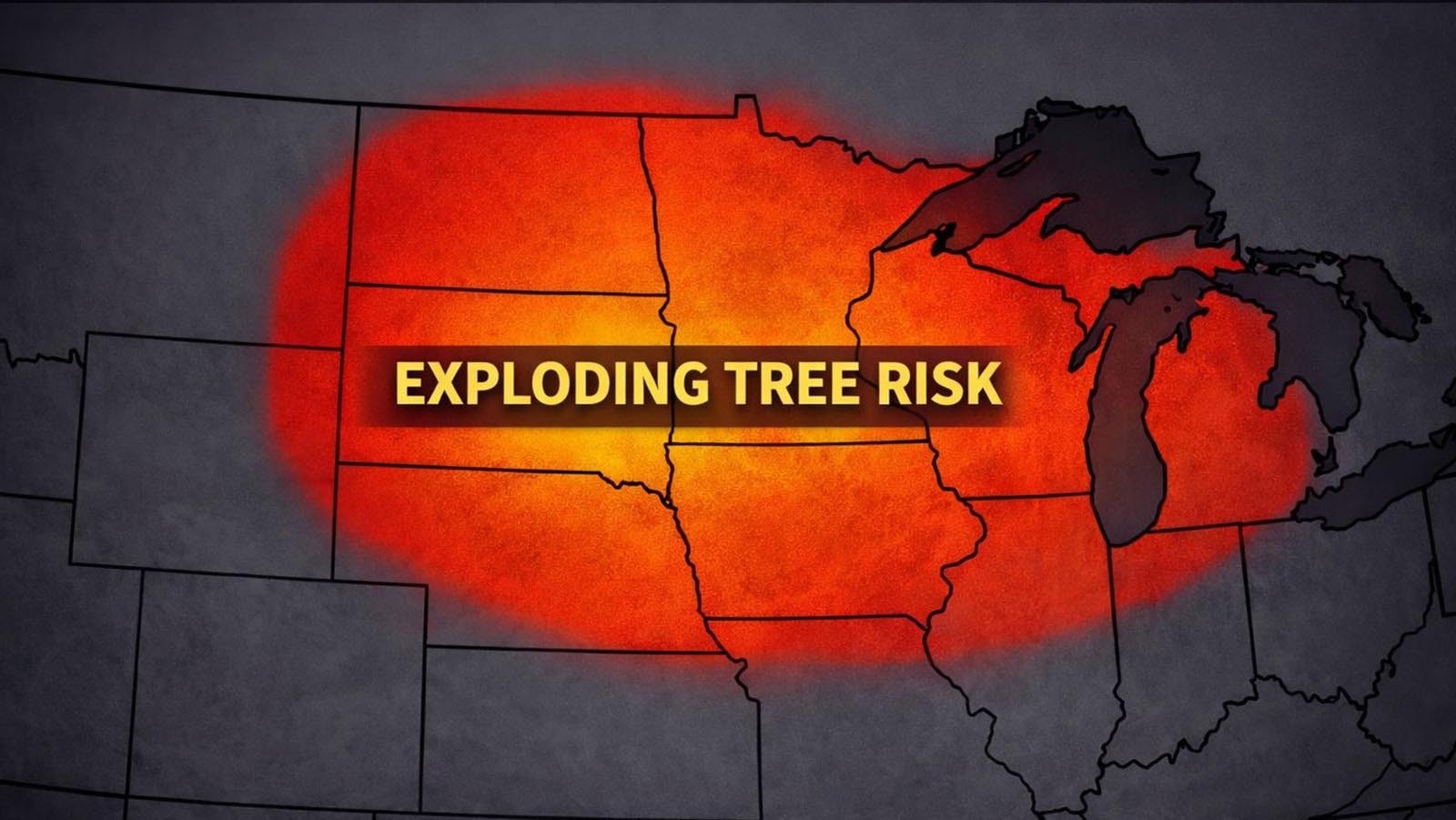 Meteorologists are warning that an incoming subzero cold snap comes with an increased risk of "exploding trees." Arborists say it's a real thing that can sever branches, crack trunks, and sound like a gunshot when trees pop.