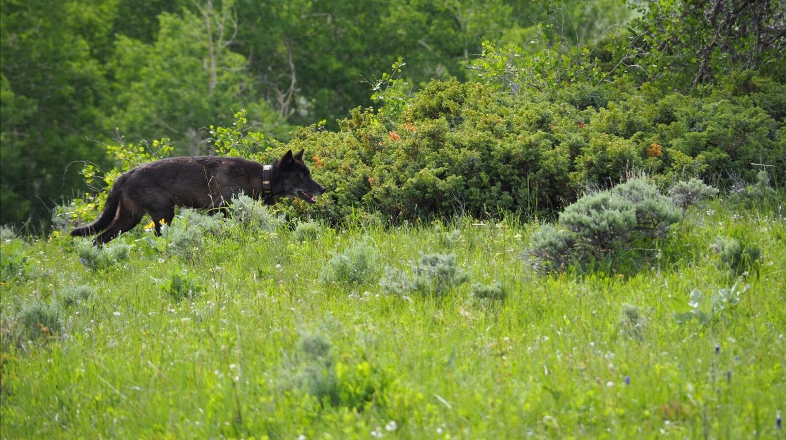 F45170bc a3c6 b226 ce83 ed46e5cf04dc 1