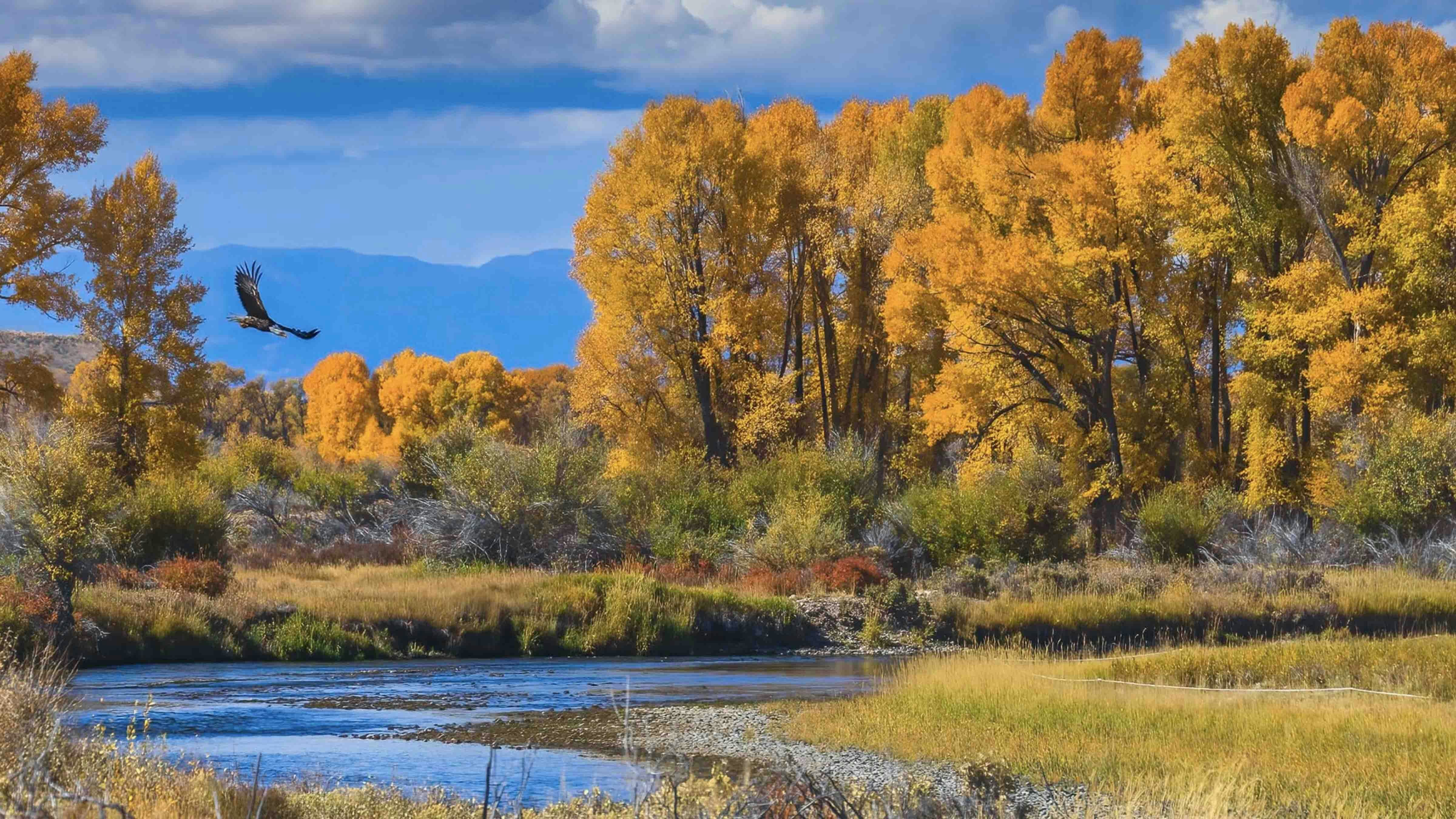 Seven Mile Ranch in Sublette County on October 1, 2025