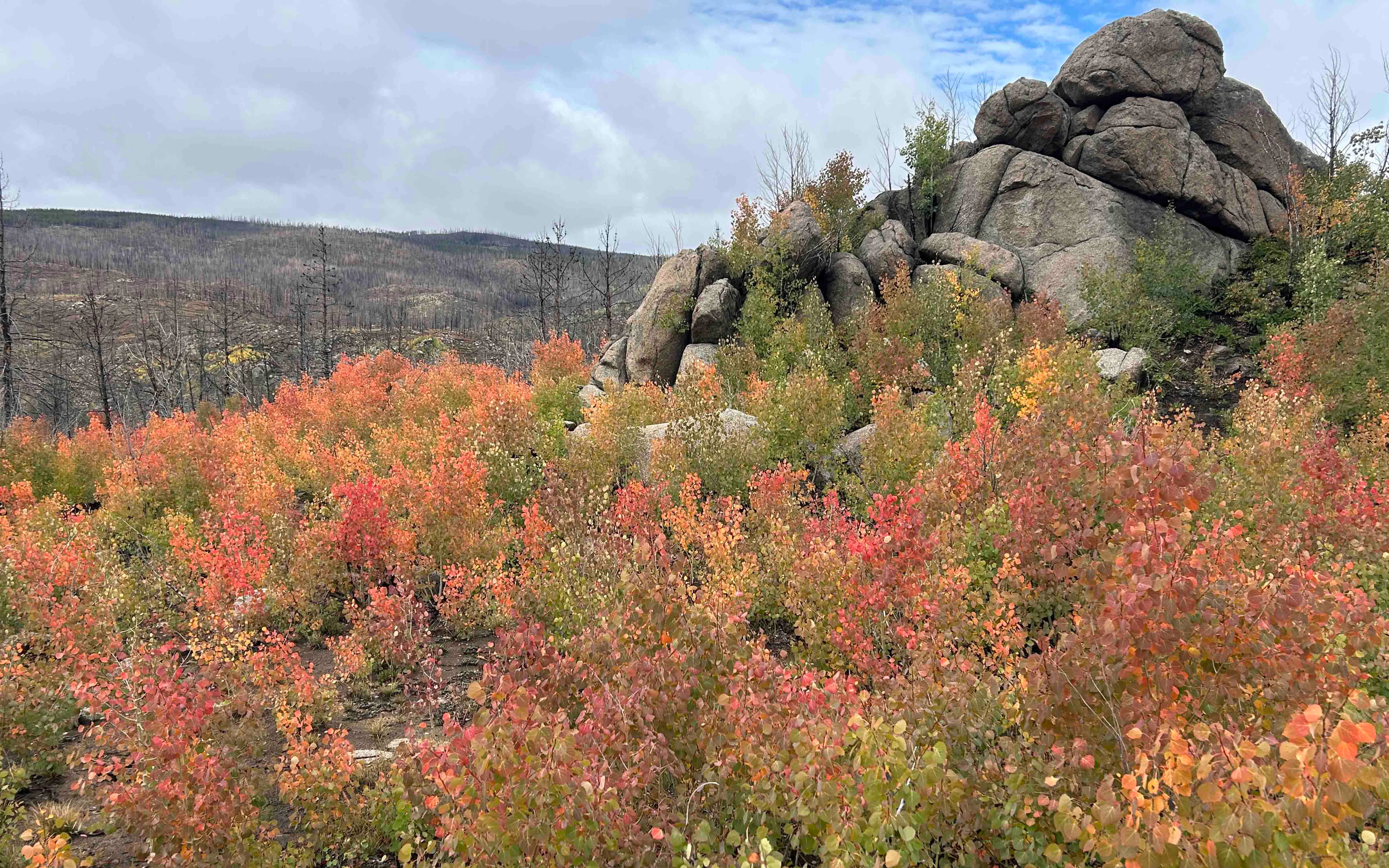Fall colors in the Keystone area of Snowy Range