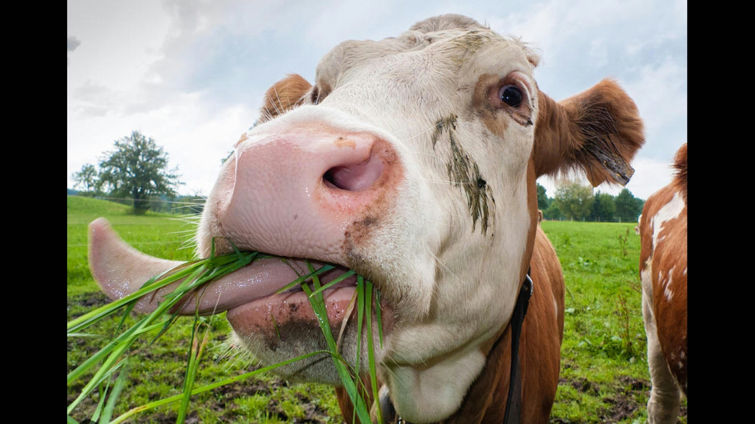 Farm ag 2 3 23 no play scaled