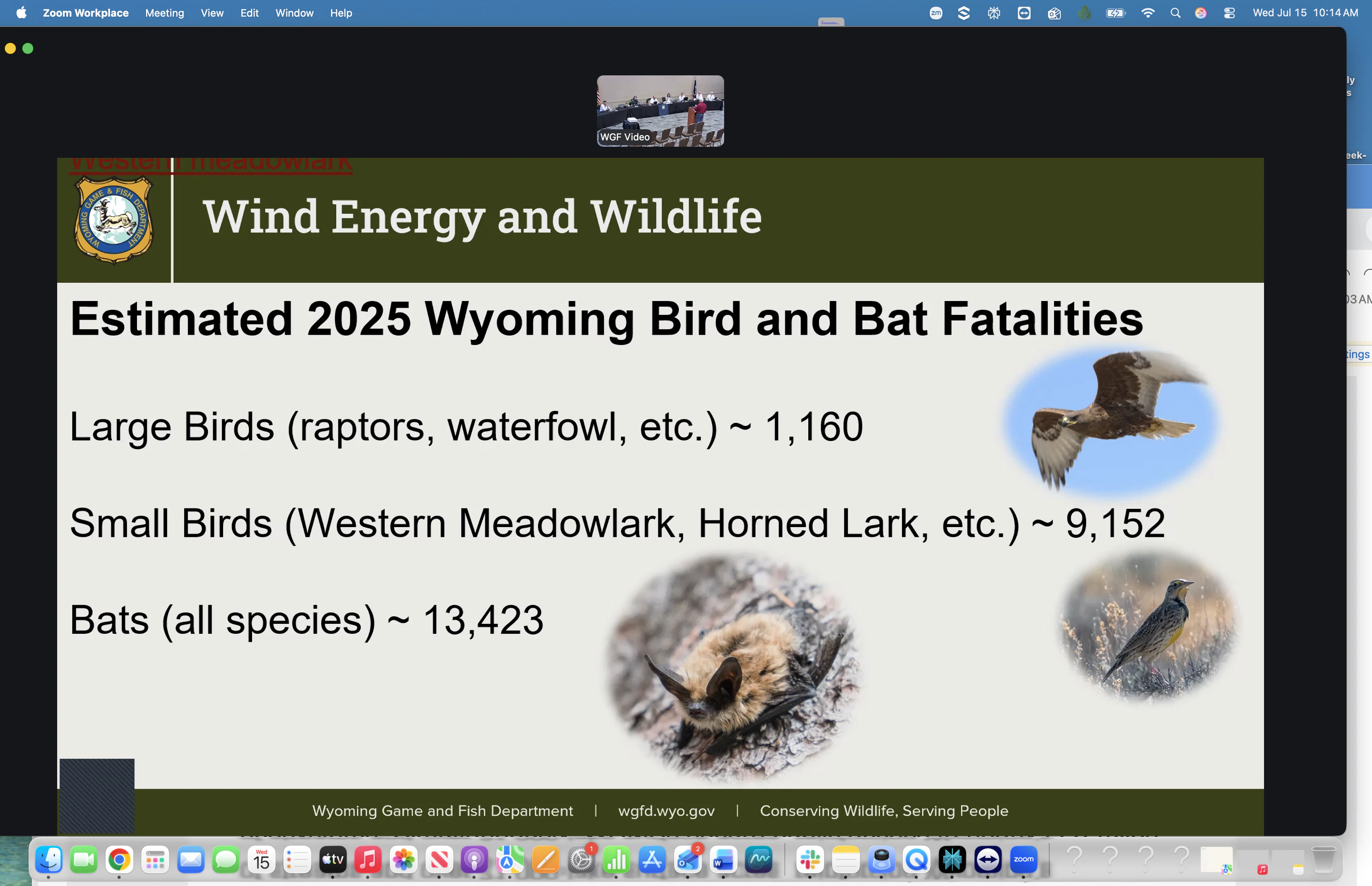 This graphic shows the estimated numbers of birds and bats killed by wind turbines in Wyoming in 2025.