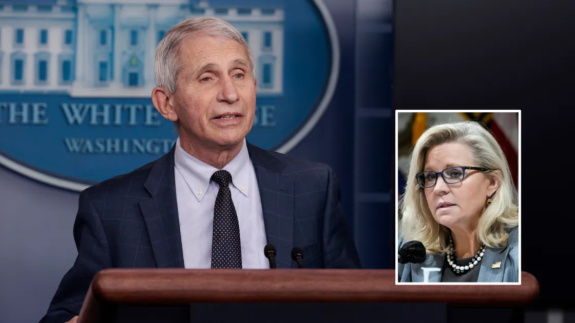 Dr. Anthony Fauci. Inset: Liz Cheney
