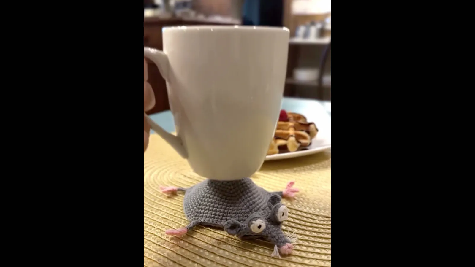 Fine dining 8 16 26