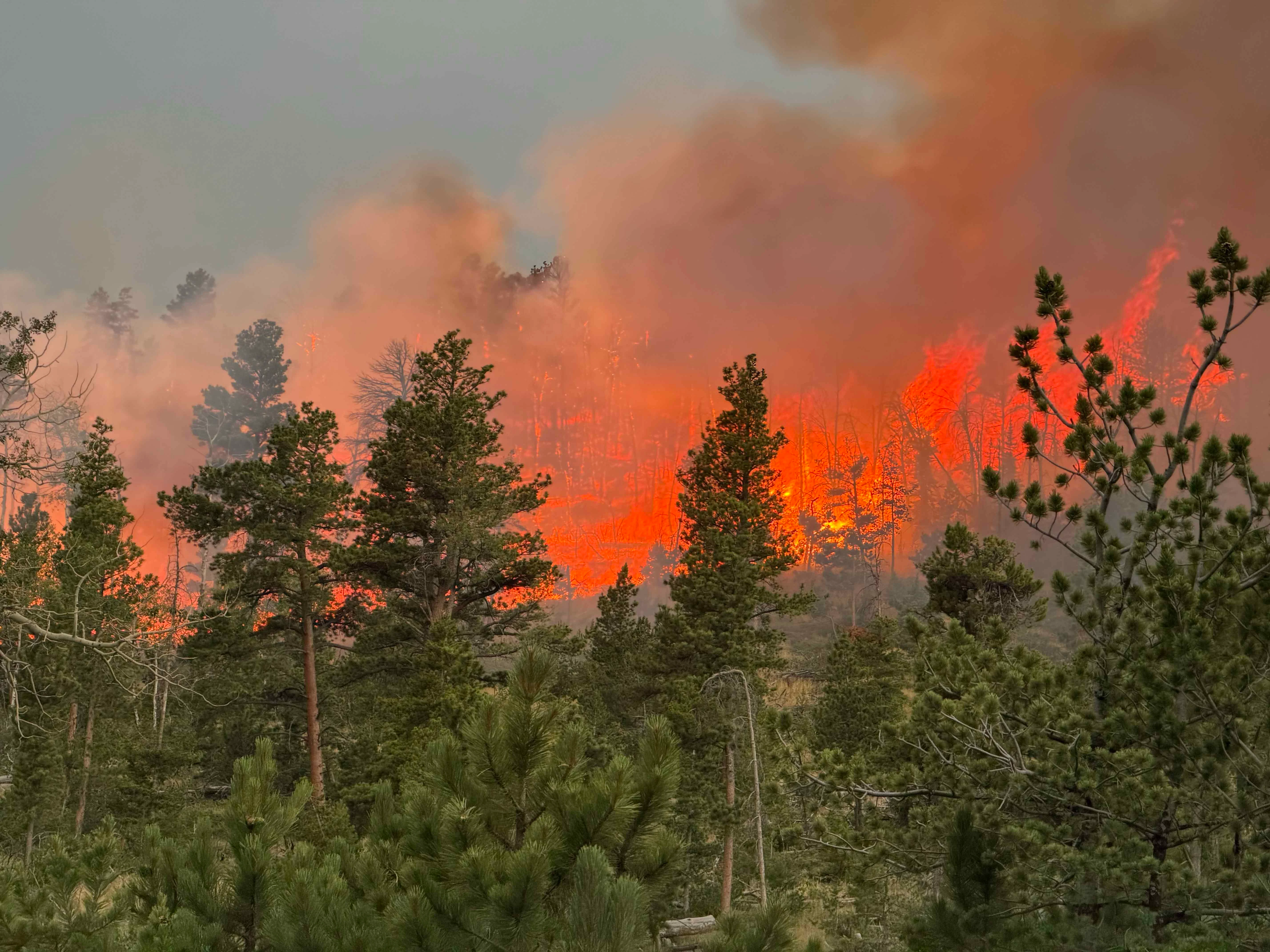 Fish Creek Fire in Albany County, Wyoming
