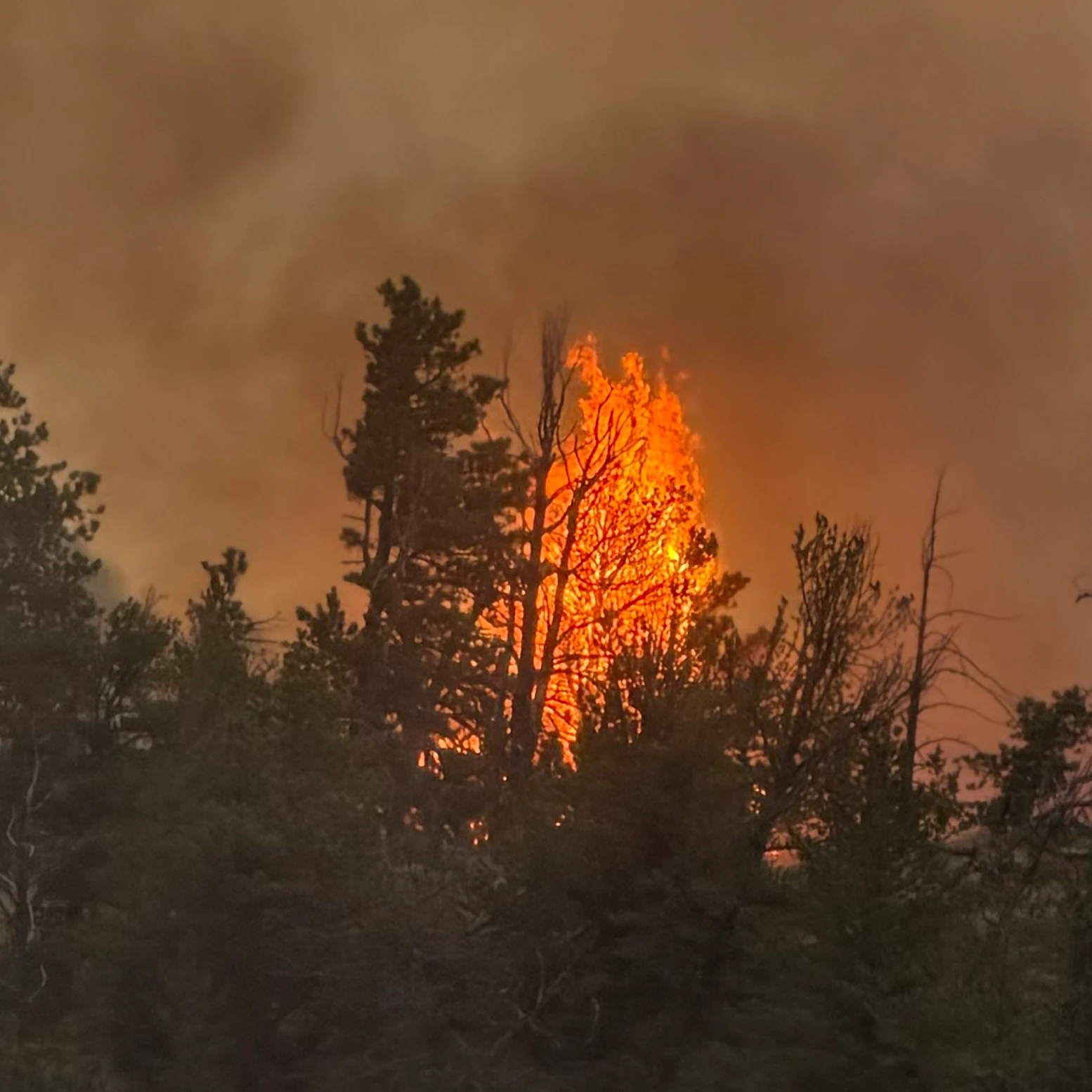Fish Creek Fire in Albany County
