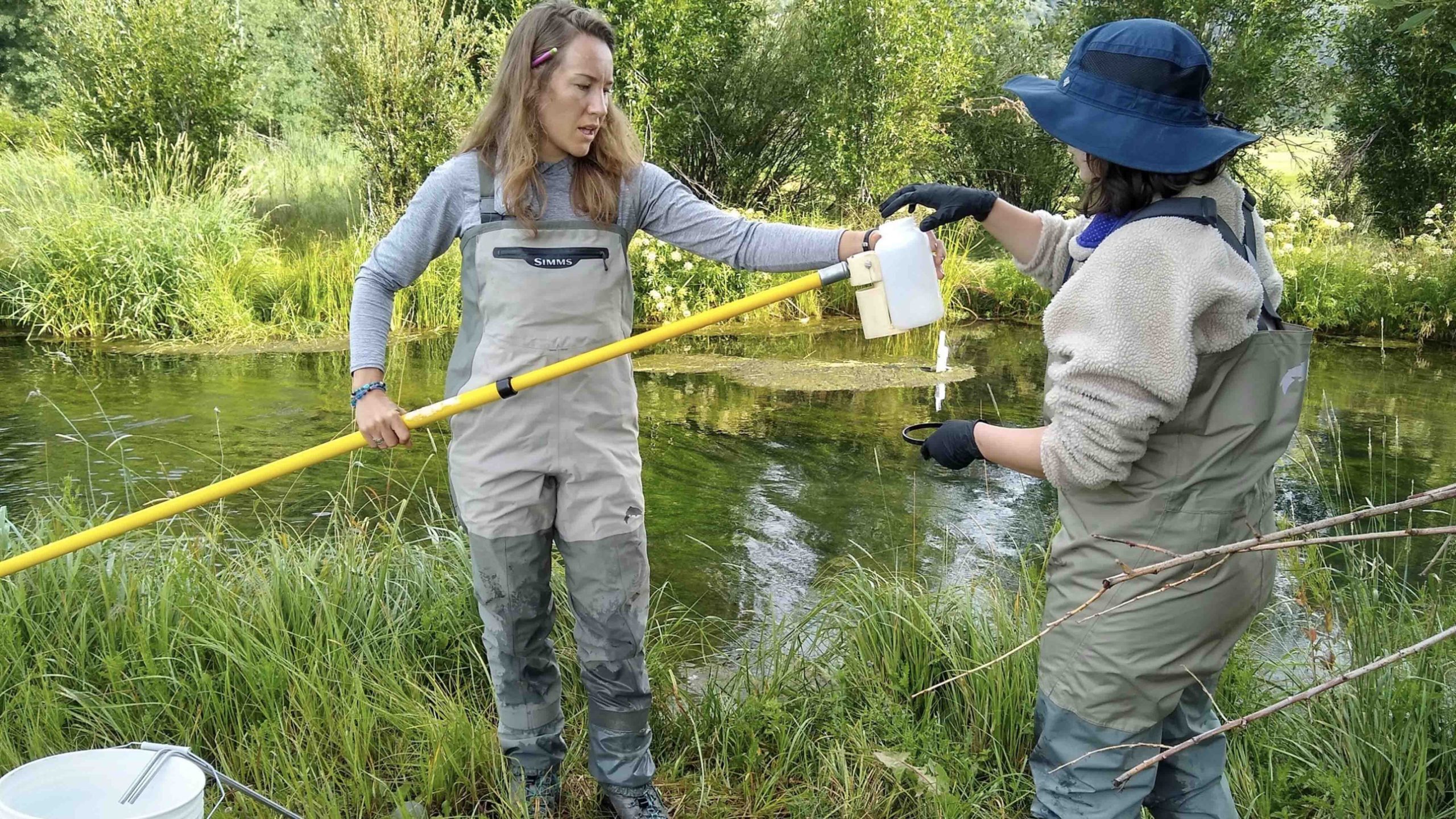 Human Poop Contaminating Two Jackson-Area… | Cowboy State Daily